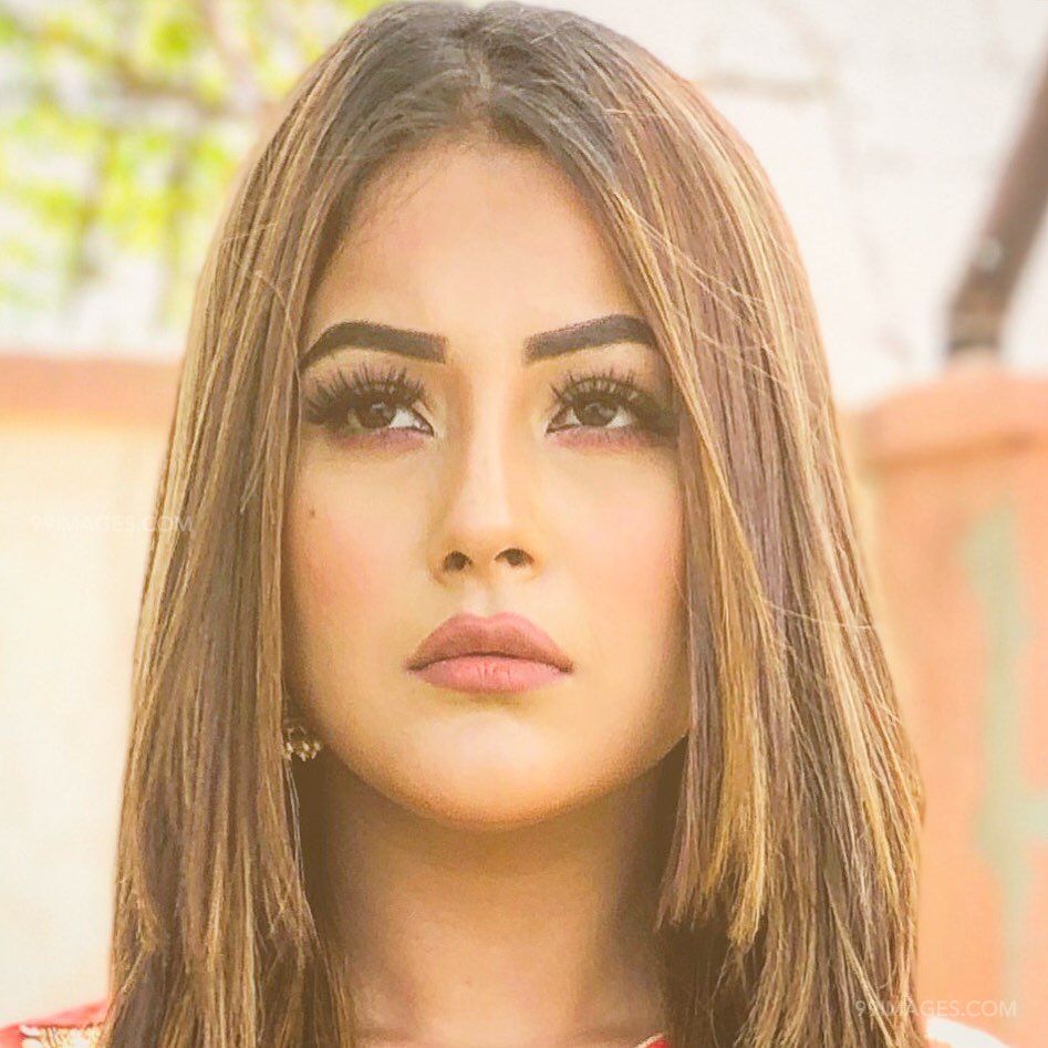 Shehnaz Kaur Latest Hot Beautiful Photos / Wallpapers - HD Wallpaper 