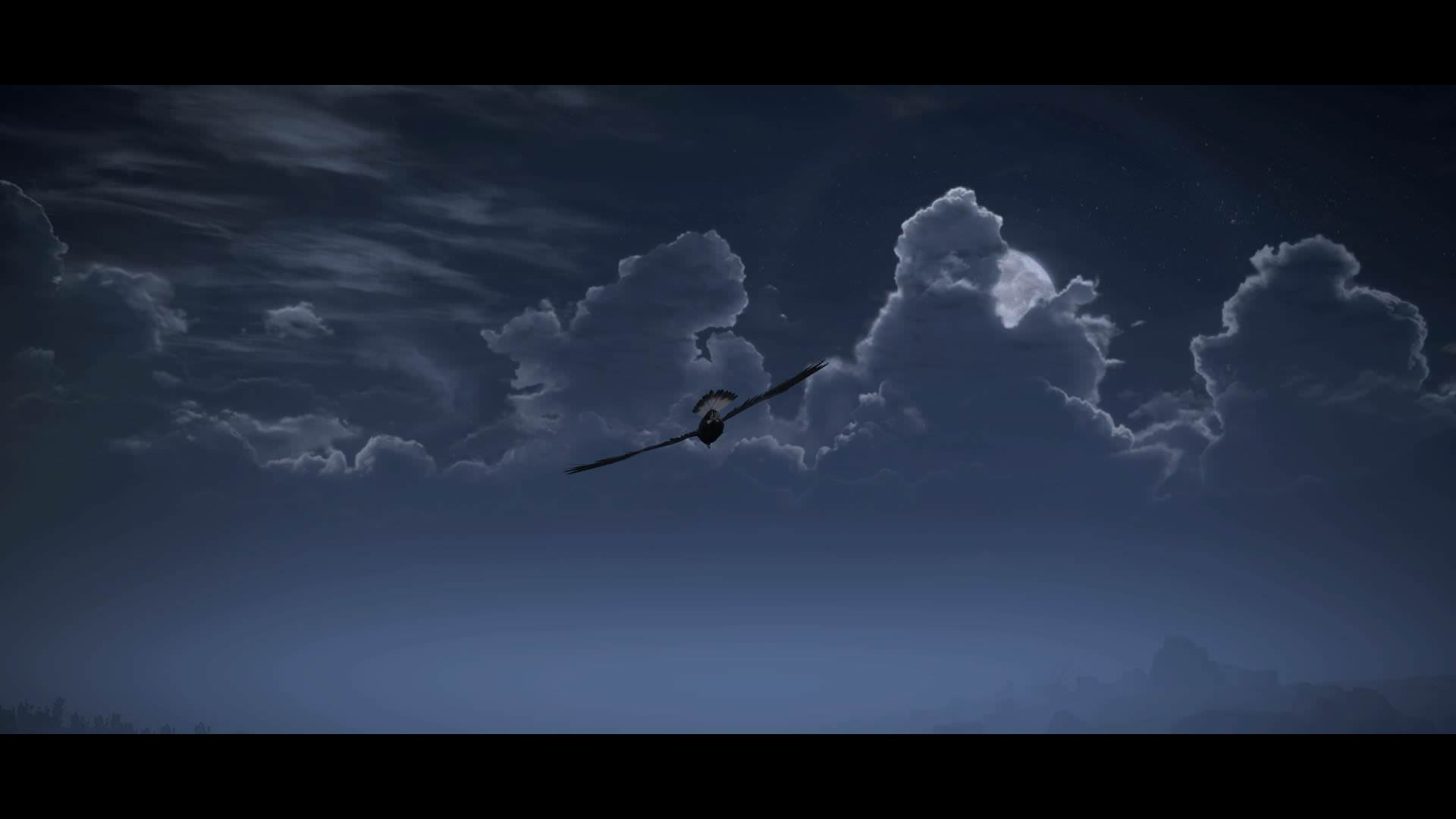 Shadow Of Colossus Night Sky - HD Wallpaper 