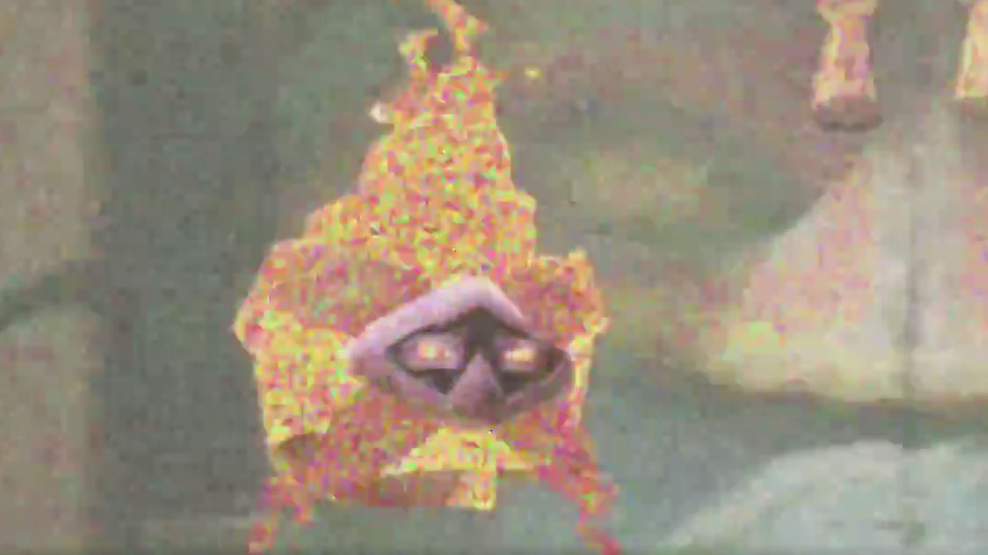 Christmas Tree - HD Wallpaper 