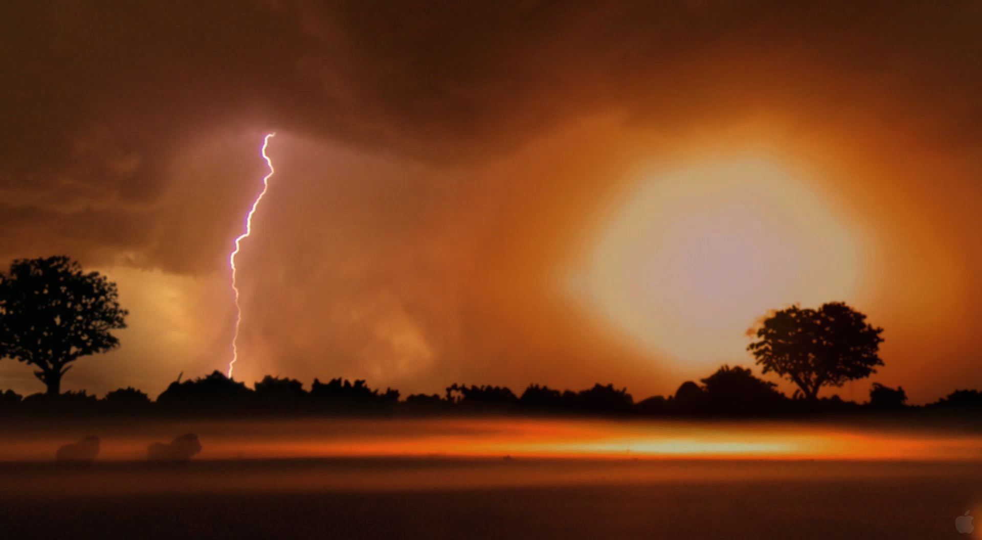 Lightning In The Savanna - HD Wallpaper 