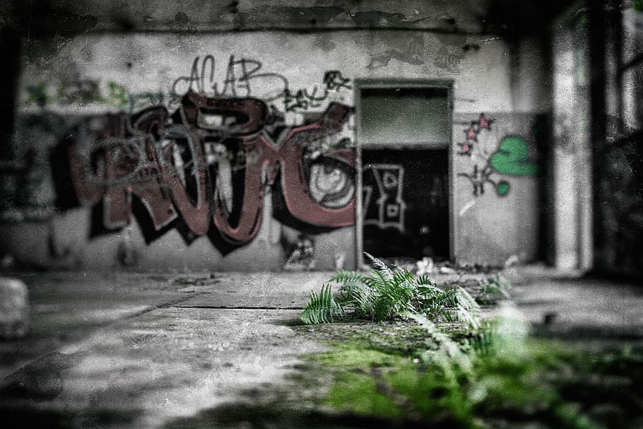 Lost Places, Noise, Green, Grafitti, Empty Bulding, - Graffiti - HD Wallpaper 
