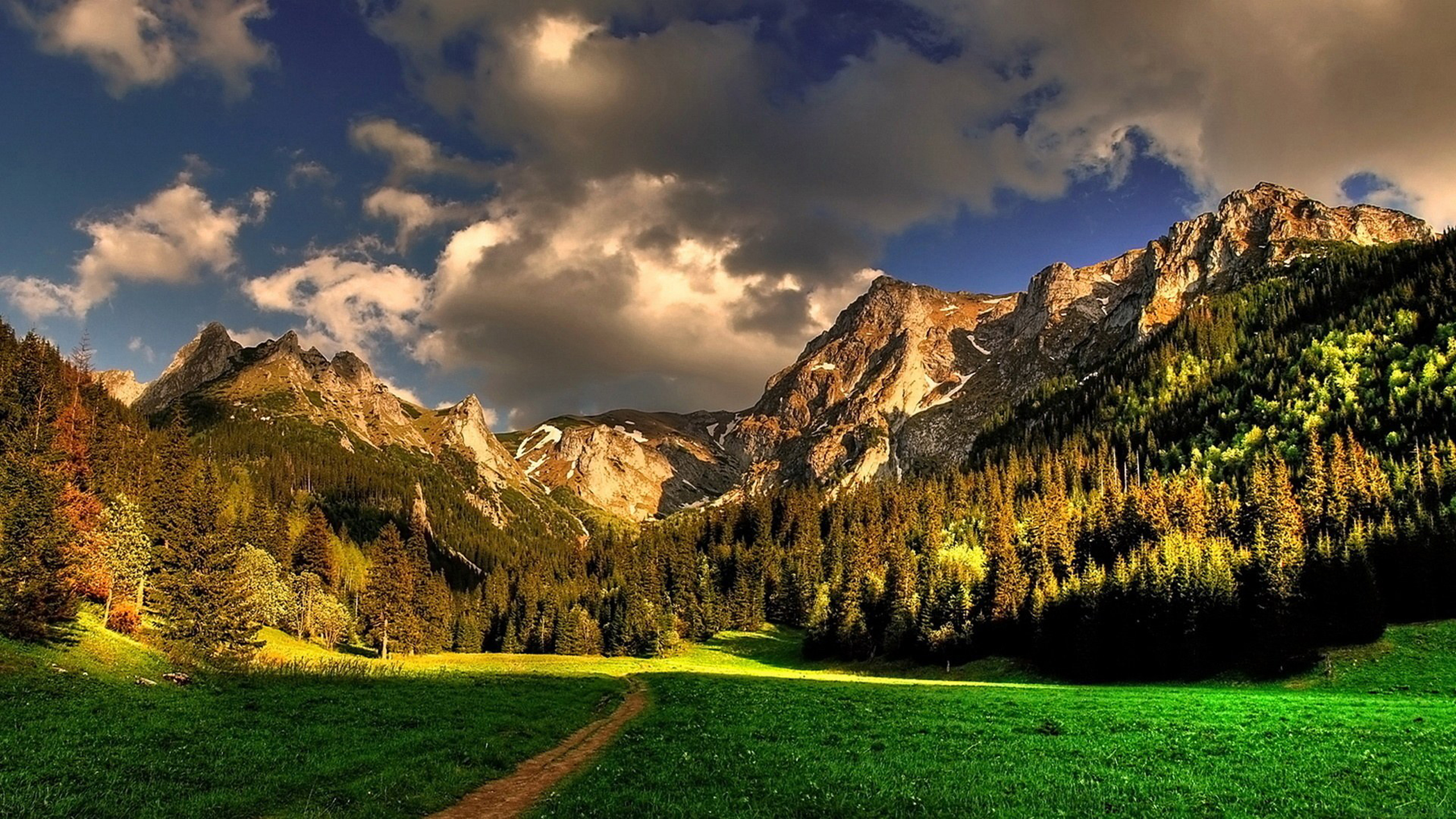 Mountain Meadow Hd - HD Wallpaper 