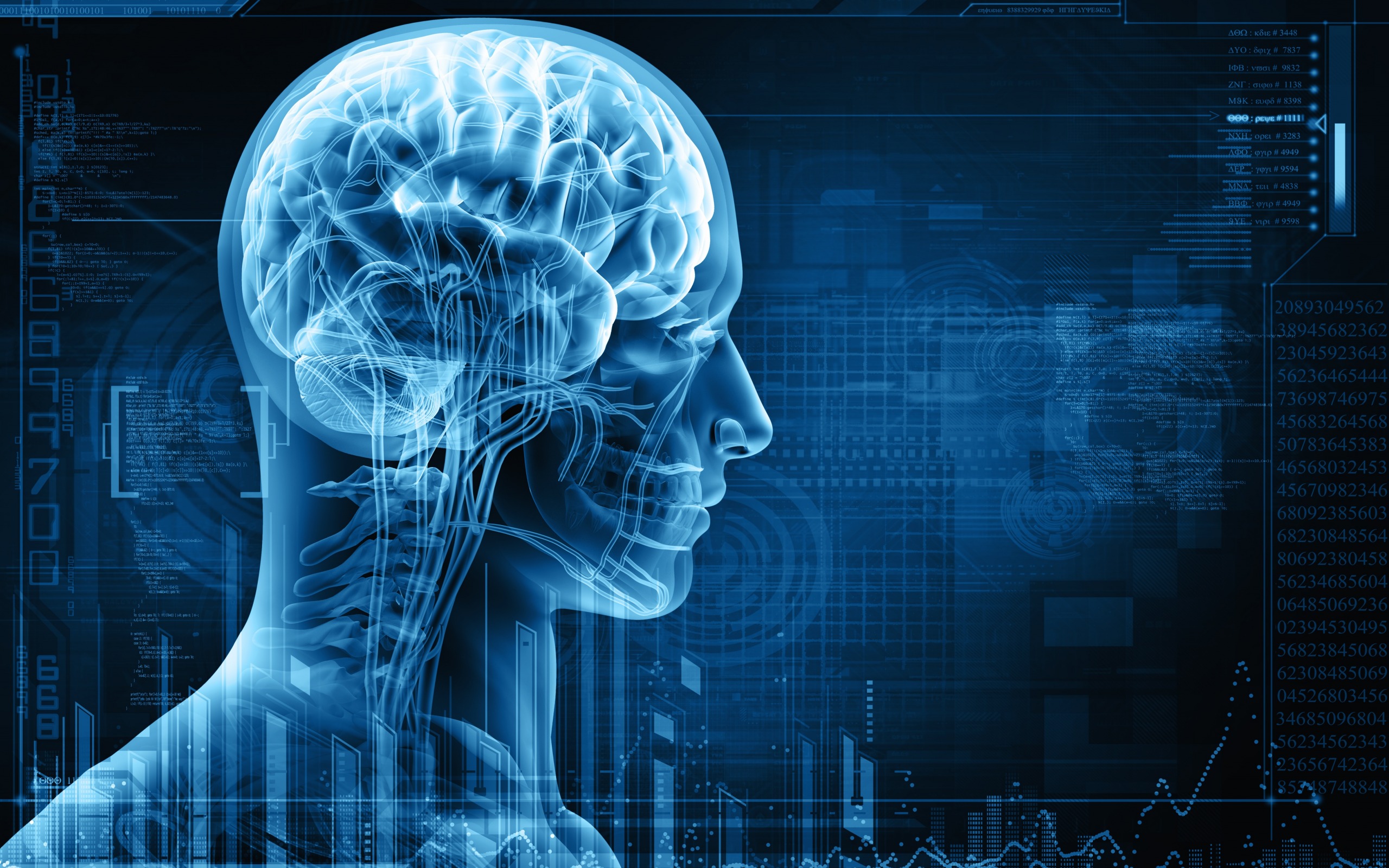 X Ray Of The Head, Brain, Human Anatomy, Radiography, - Human Person As Embodied Spirit - HD Wallpaper 