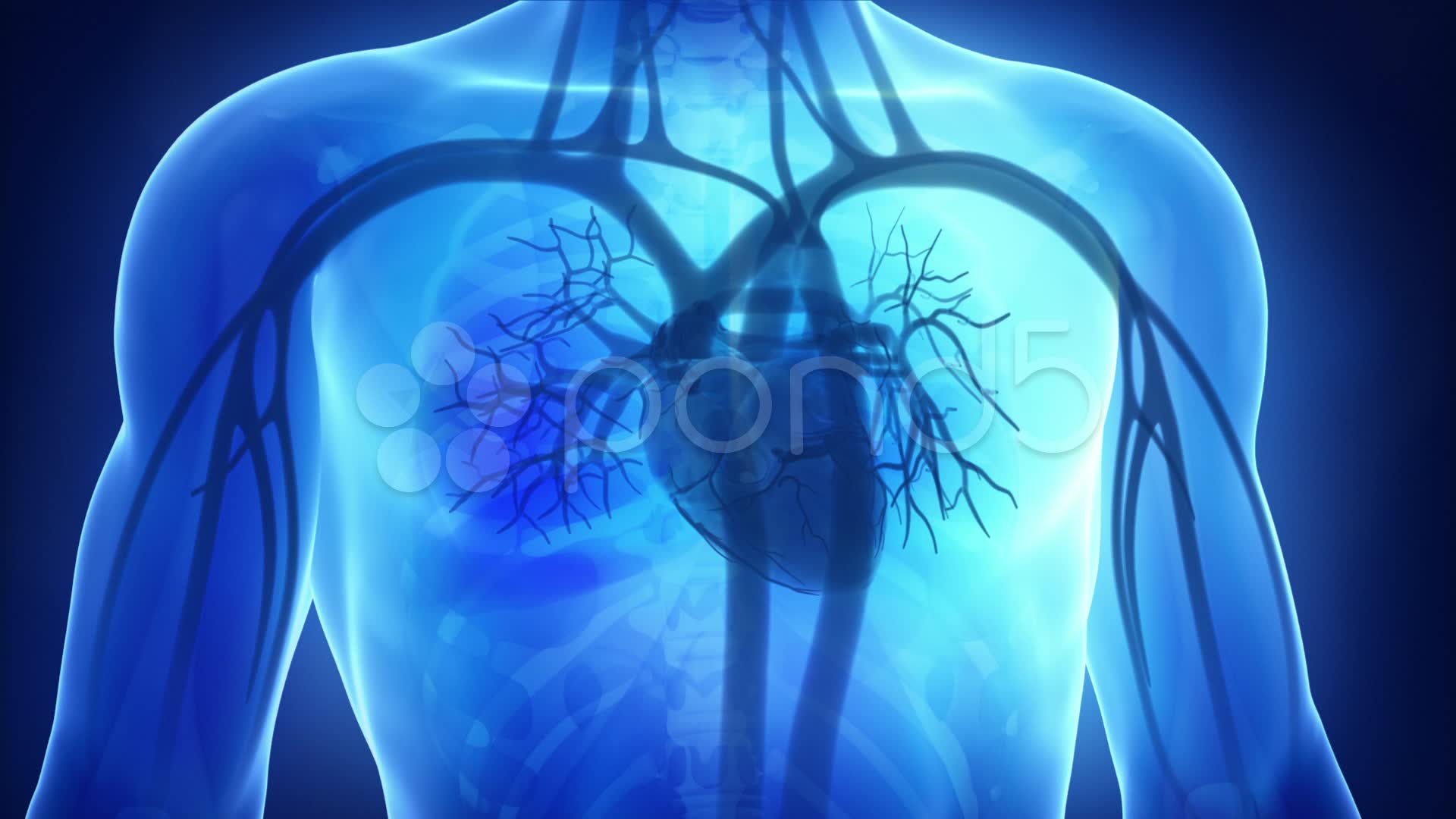Medical Heart Hd - HD Wallpaper 