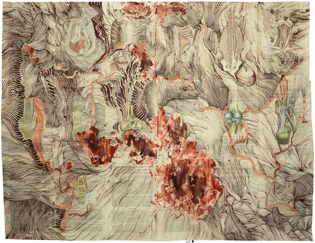 Anatomical Wallpaper - Painting - HD Wallpaper 