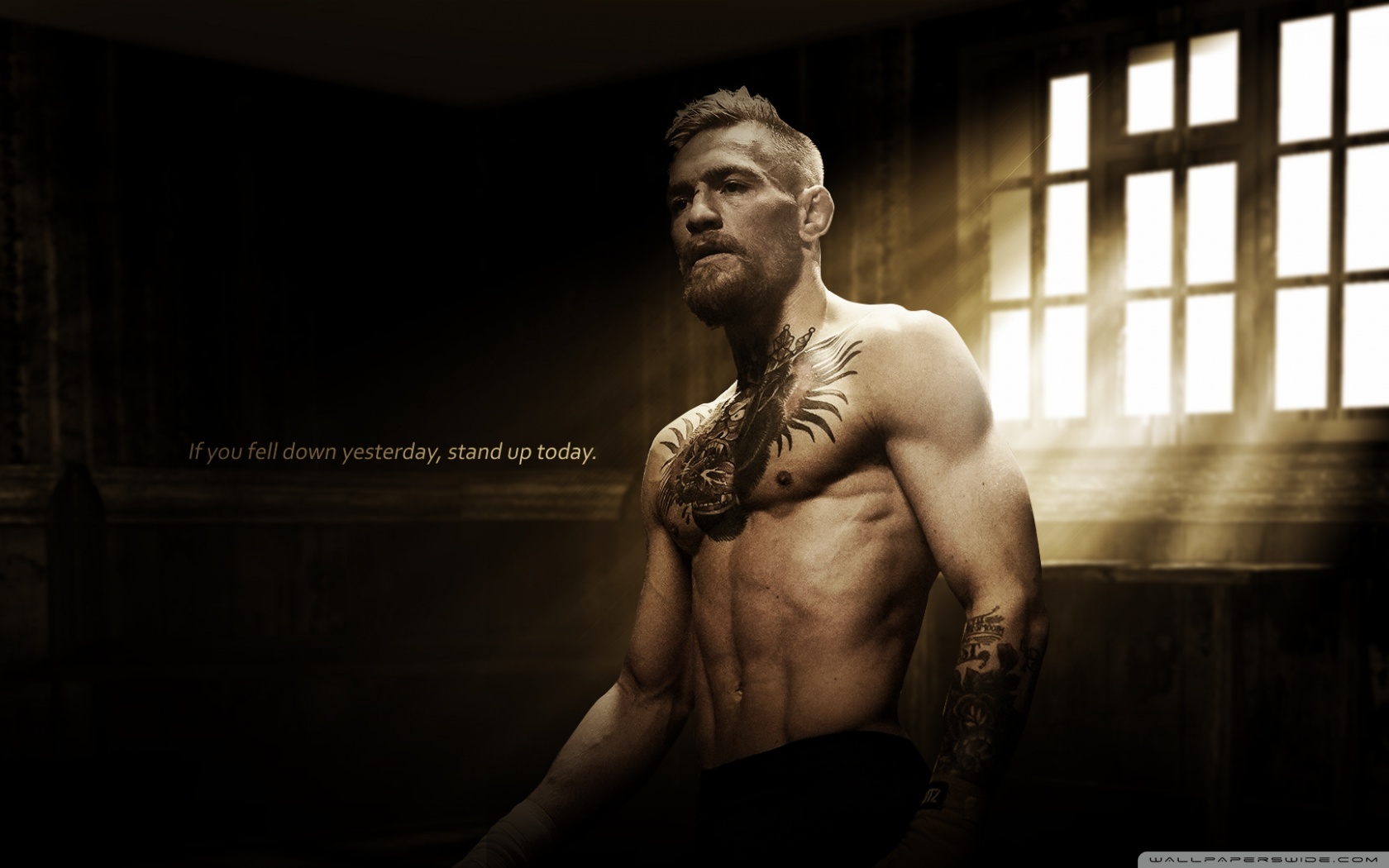 Conor Mcgregor - HD Wallpaper 