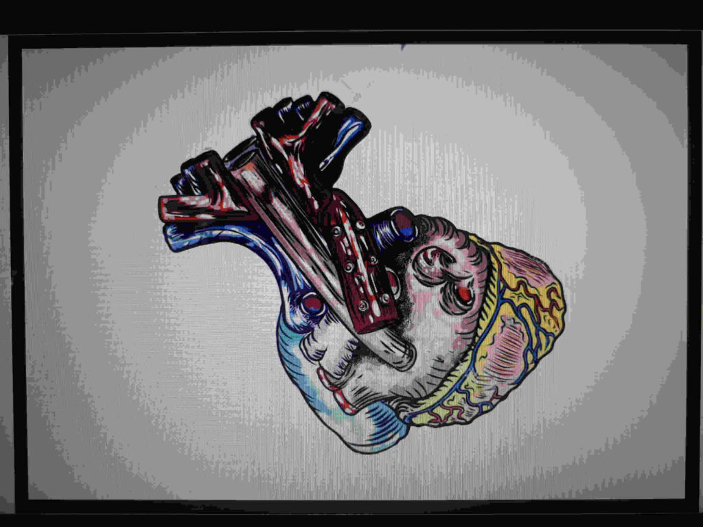 Human Heart Sketch With Yellow Blue Pink Red Colors - Illustration - HD Wallpaper 
