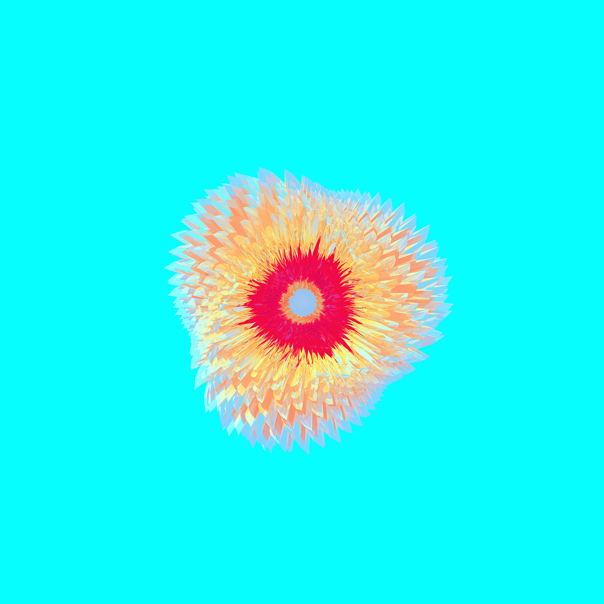 Flower - HD Wallpaper 