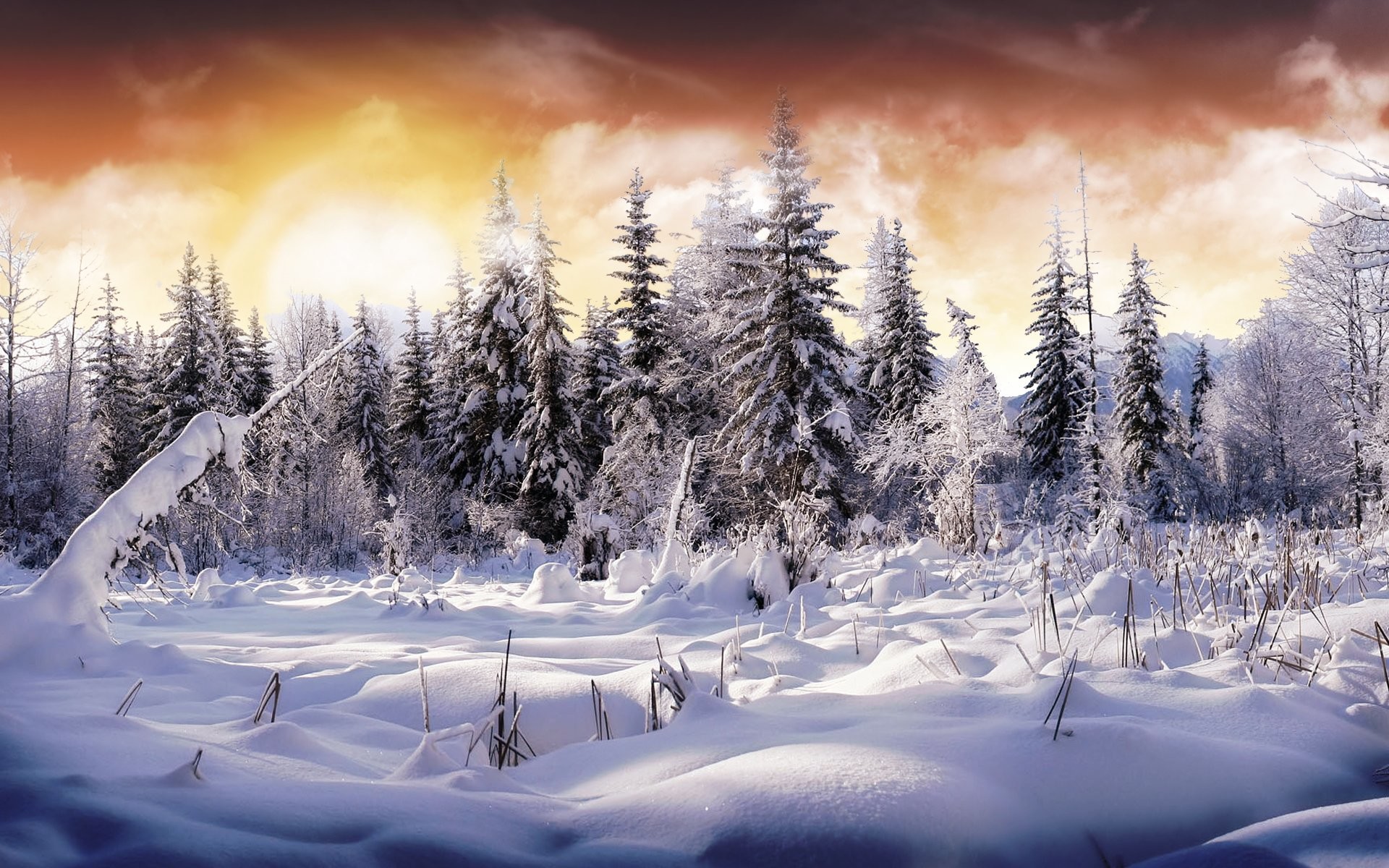 Hd Wallpaper - Winter Background Hd - HD Wallpaper 