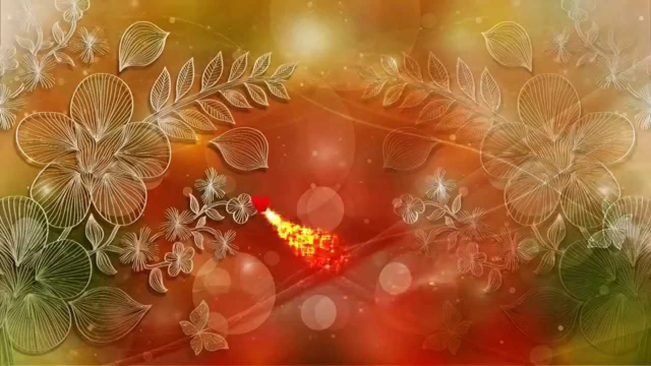 Wedding Background Hd - Video Love Background - HD Wallpaper 