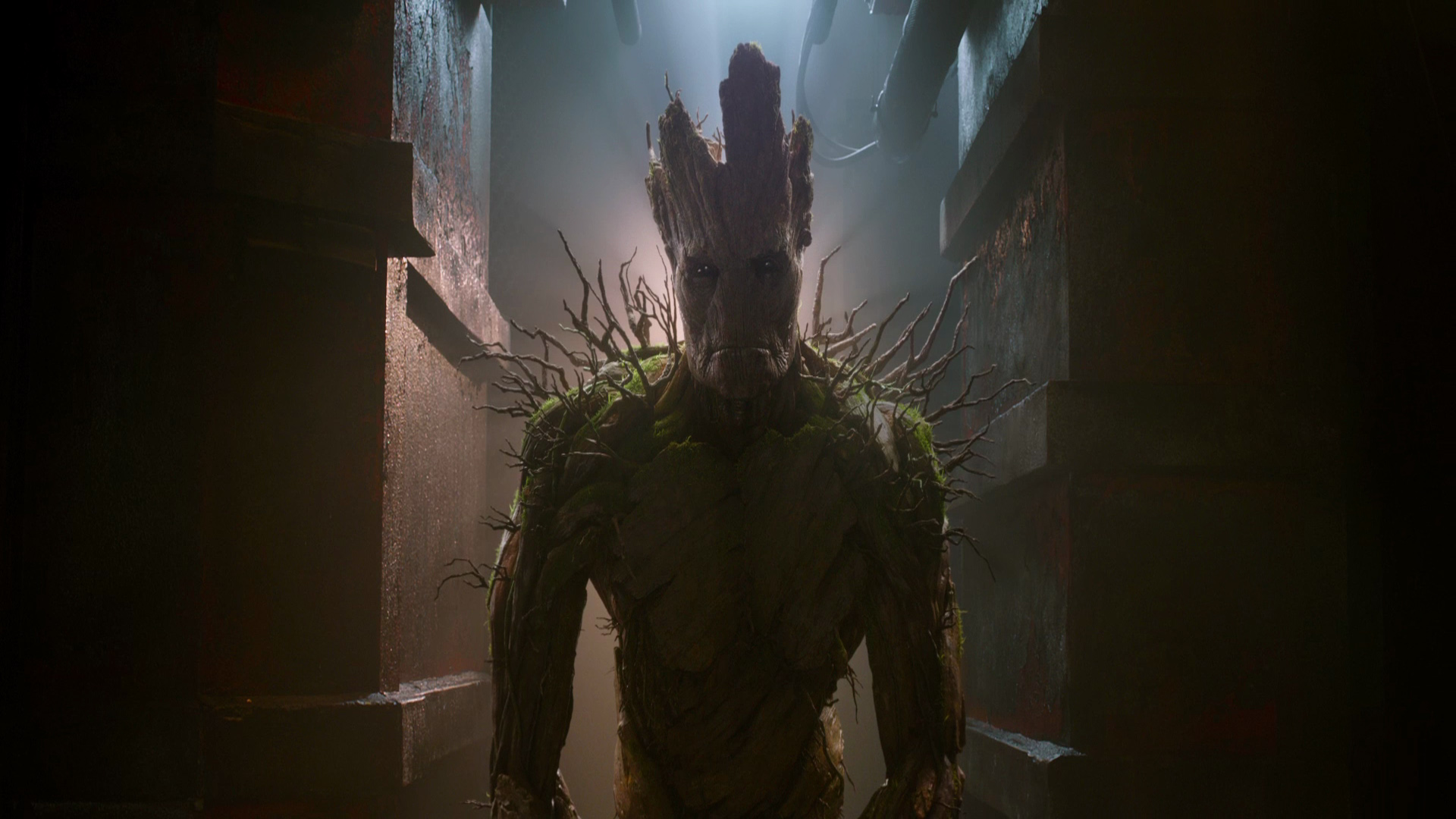 Groot Guardians Of The Galaxy 2014 - HD Wallpaper 
