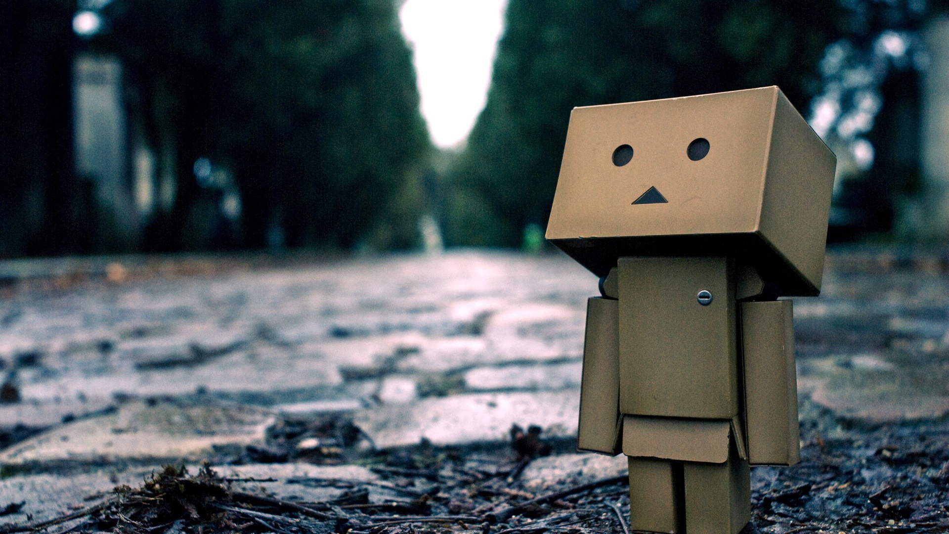 Wallpaper Danboard, Boxes, Robot, Dirt, Pavement, Anticipation, - 1080p Sadness Wallpaper Hd - HD Wallpaper 