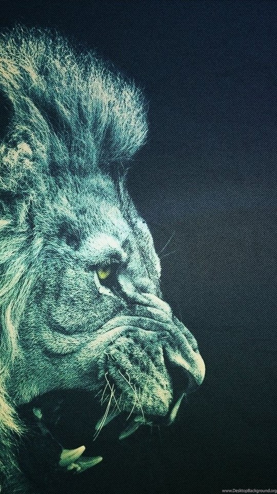 Lion Wallpapers Full Hd 1080p Hj7 Pretty Wallpapers - Hd Wallpaper Life - HD Wallpaper 