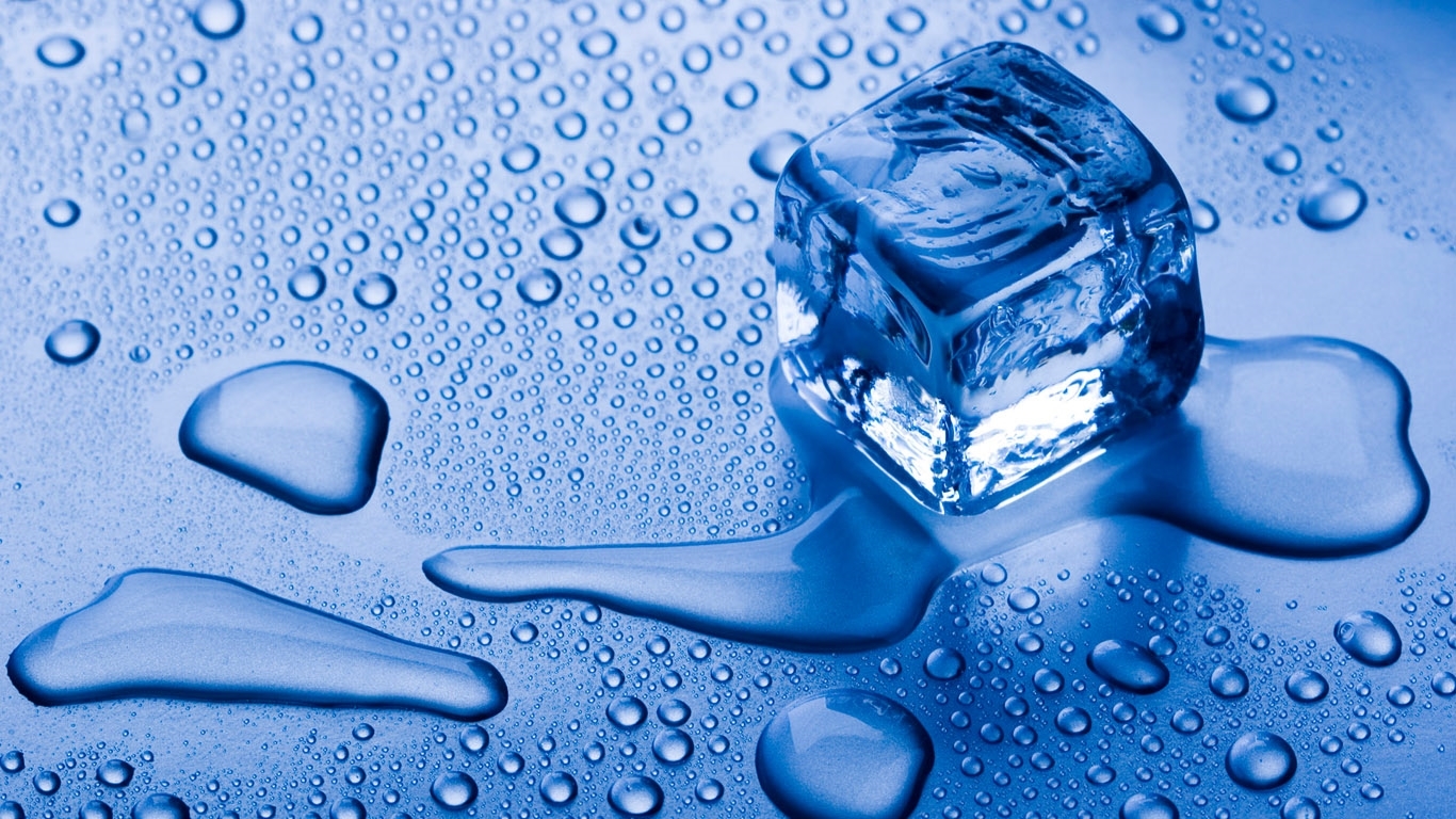 Small Wild Animals Wallpapers For Laptops And Computers - Ice Cubes Hd - HD Wallpaper 