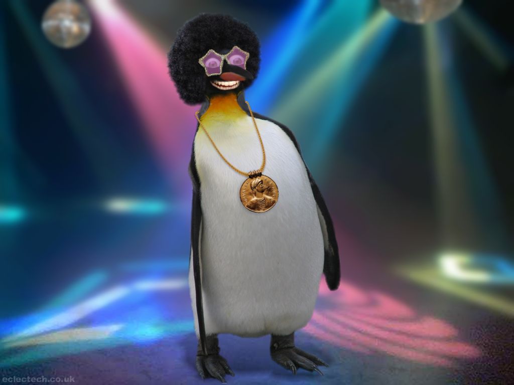 Penguin Meme Fuck You - HD Wallpaper 