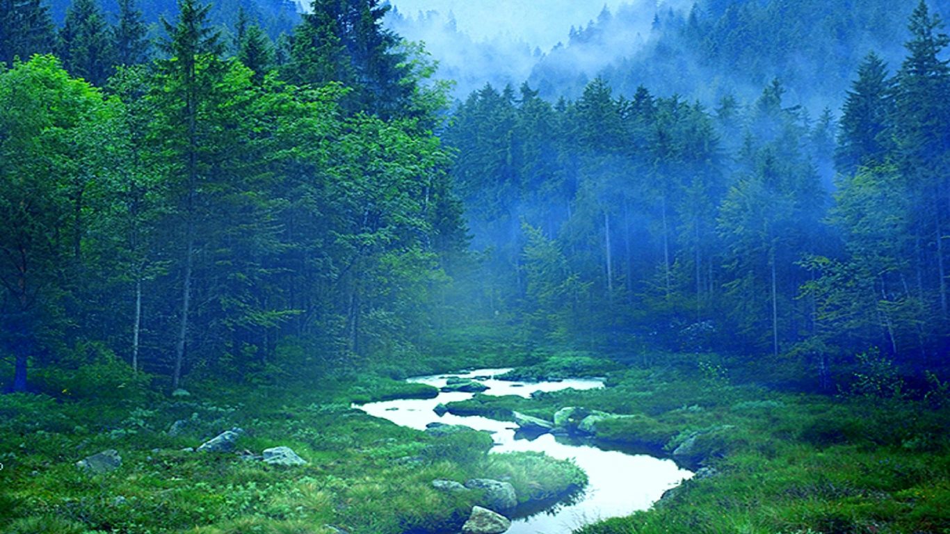 Cool Color In Nature - HD Wallpaper 