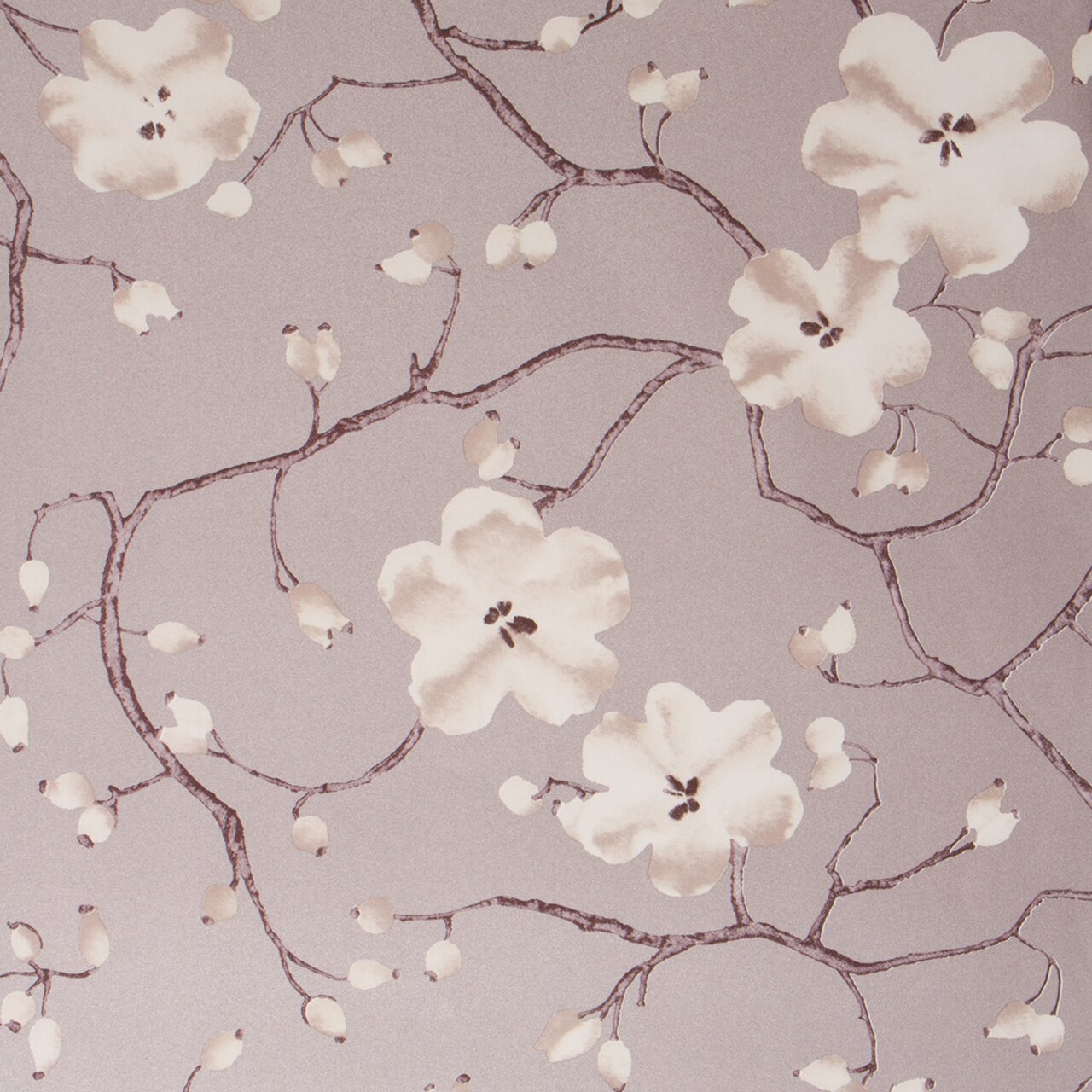 Cherry Blossom - HD Wallpaper 