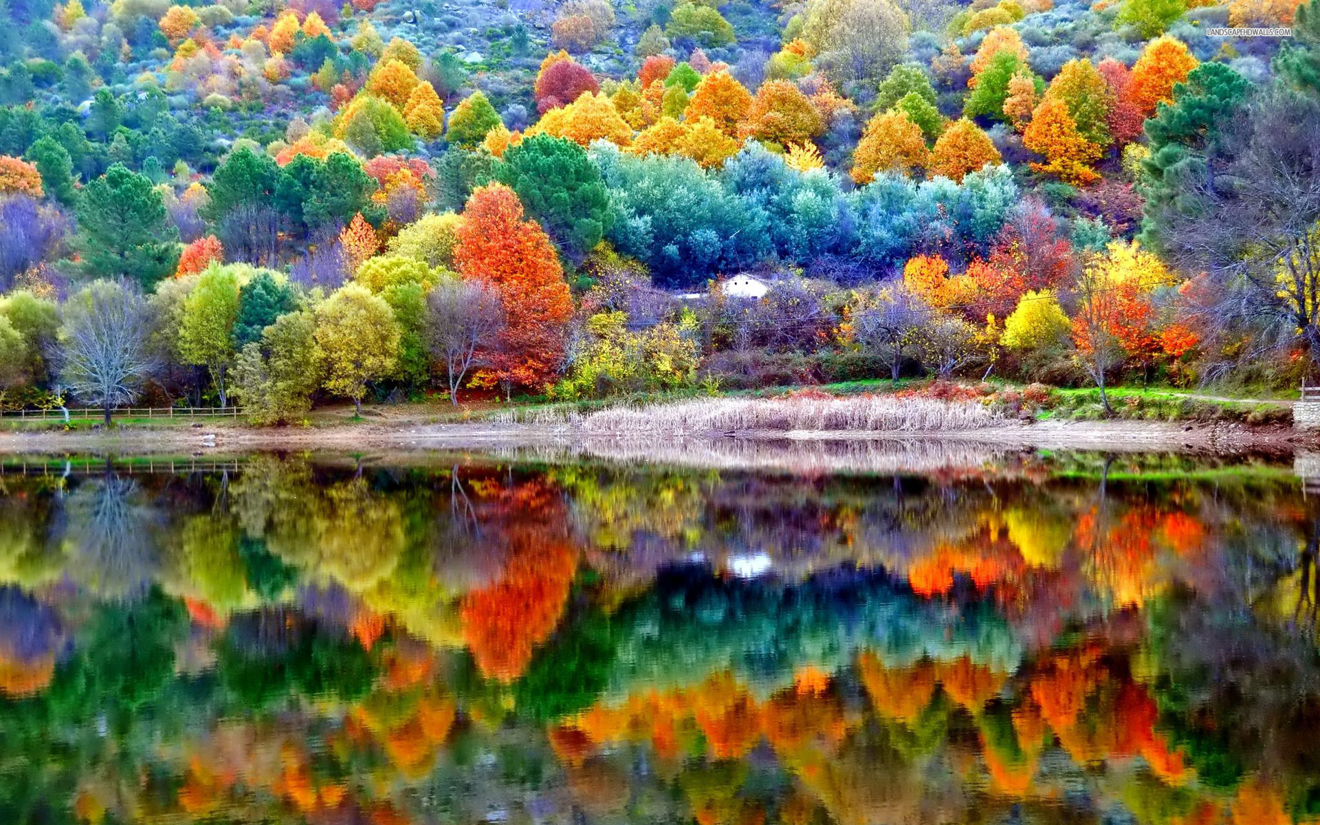 Beautiful Scenery Of Fall - HD Wallpaper 