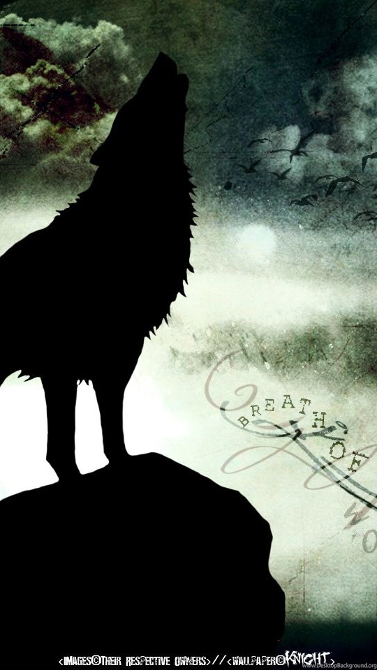 Papel De Parede Lobo Uivando Wallpapers Para Download - Wolf Rain - HD Wallpaper 