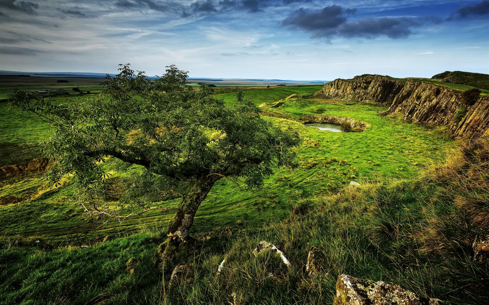 Wallpaper Mountains, Valley, Green, Grass, Tree, Lake, - HD Wallpaper 
