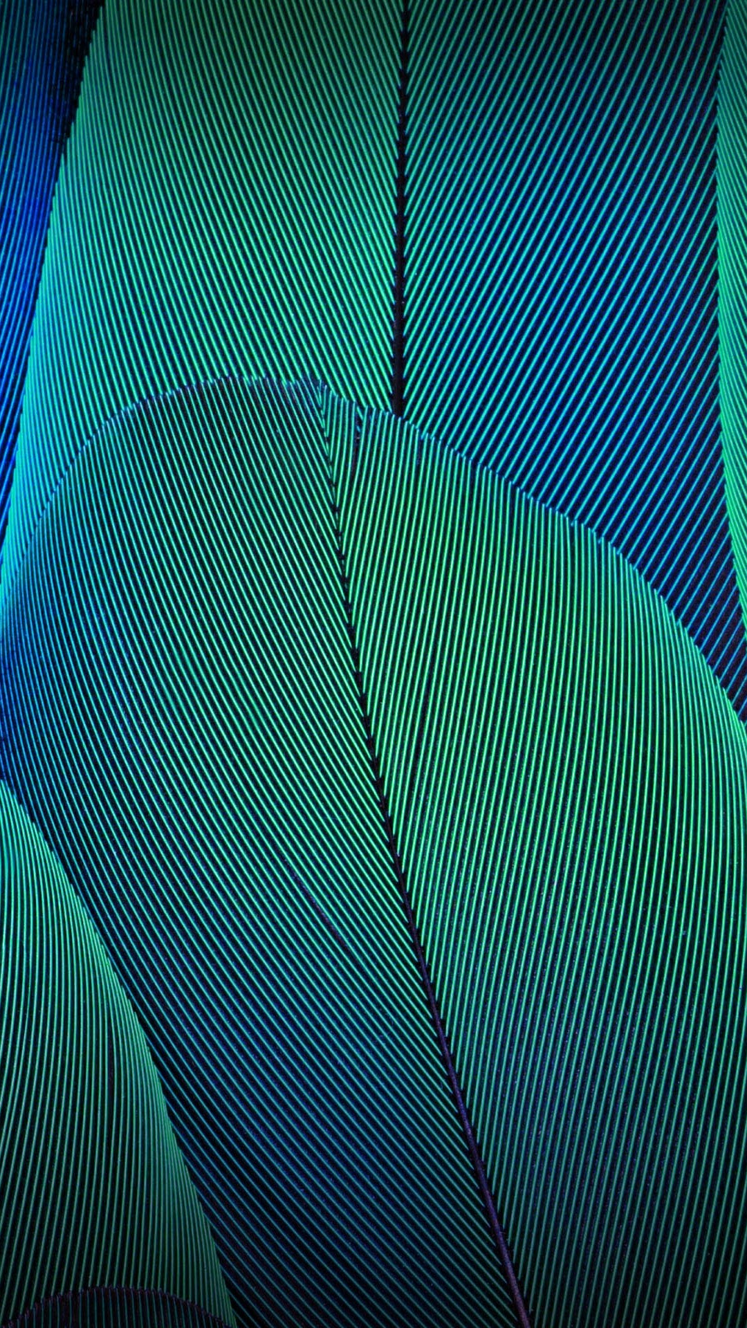 Moto G5 Plus 4k - 1080x1920 Wallpaper Moto G5 Plus 4k - 1080x1920 Wallpaper