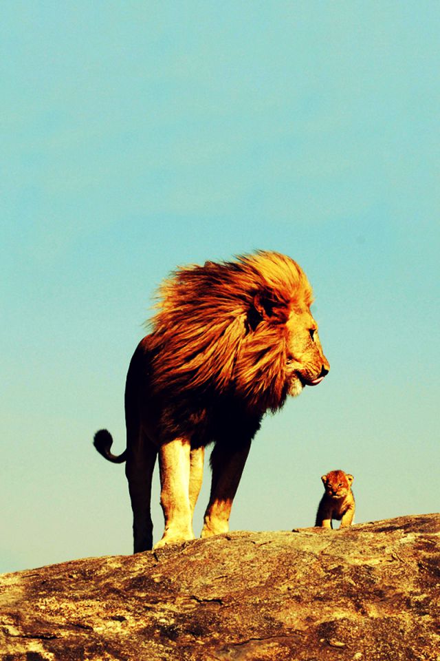Lions - Vertical Lion - HD Wallpaper 