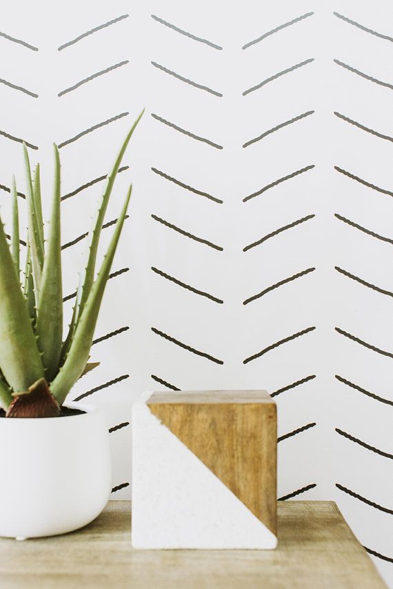 Houseplant - HD Wallpaper 