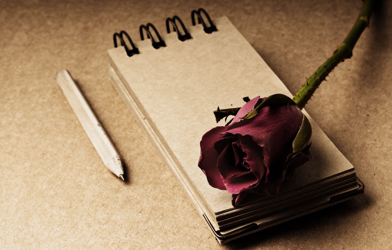 Photo Wallpaper Flowers, Style, Background, Rose, Notepad, - تصویر عاشقانه برای نوشتن متن - HD Wallpaper 