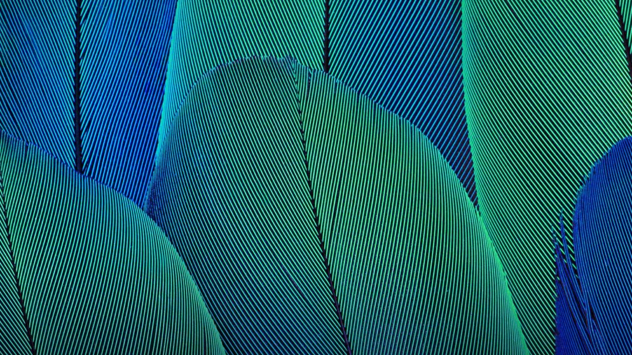 Moto G5s Plus 4k - 1280x720 Wallpaper Moto G5s Plus 4k - 1280x720 Wallpaper