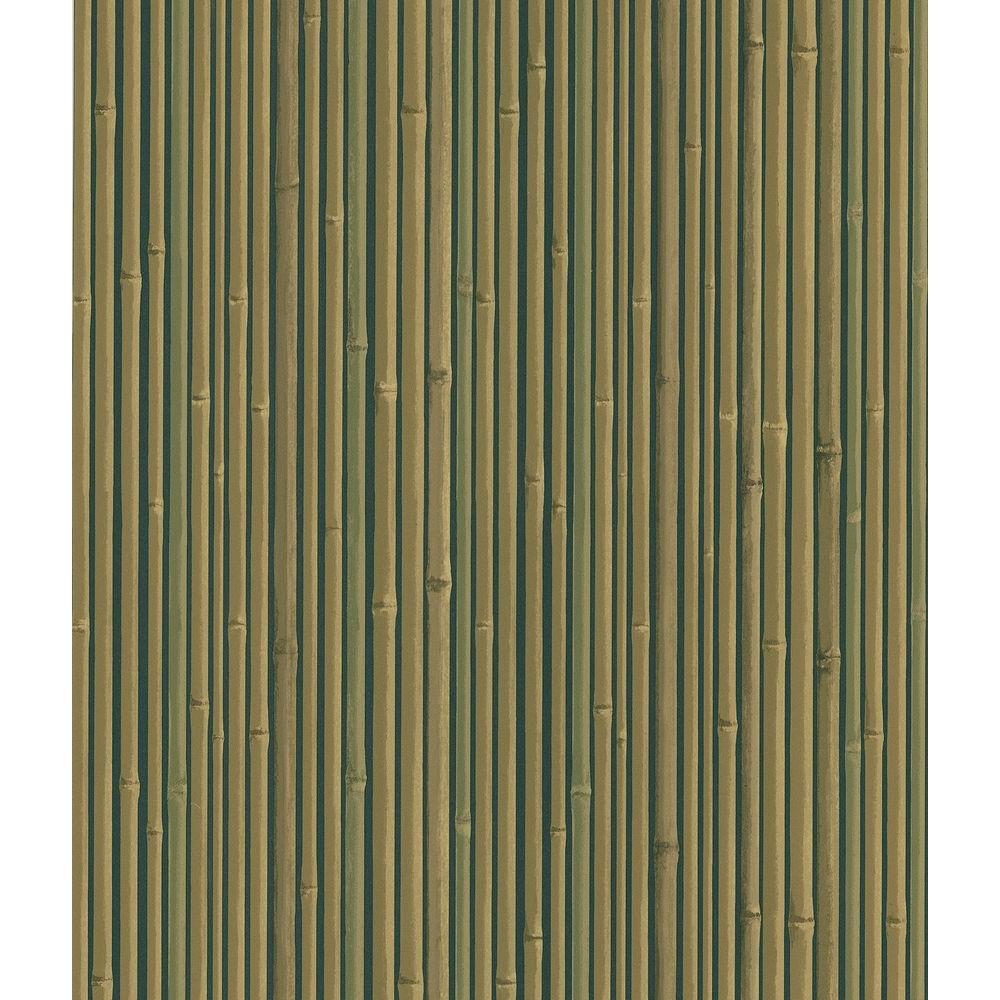 Wall Paper Bamboo - HD Wallpaper 