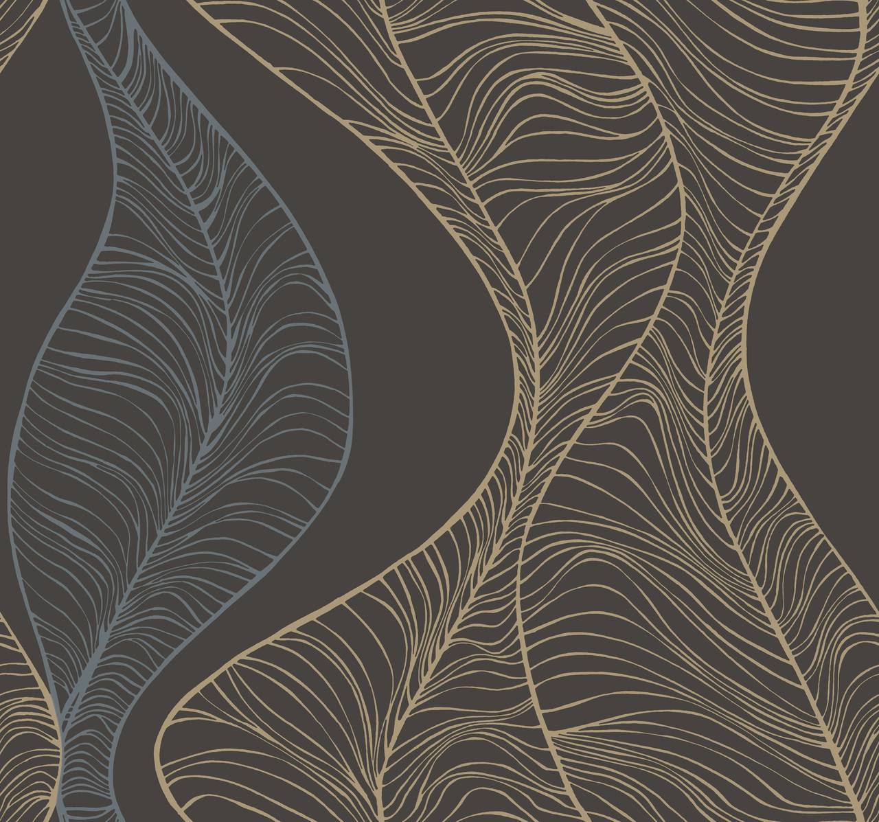 Candice Olson Hoopla - HD Wallpaper 