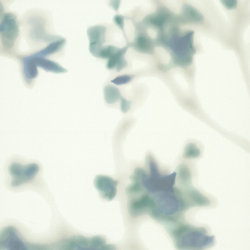 Terrain Wallpaper By Candice Olson - Flower - HD Wallpaper 