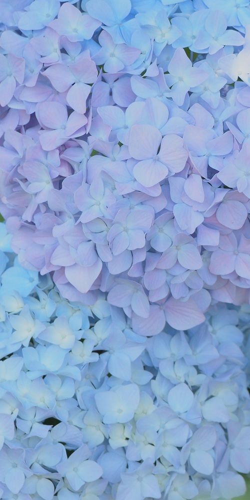 Pastel Iphone Wallpaper Blue - HD Wallpaper 