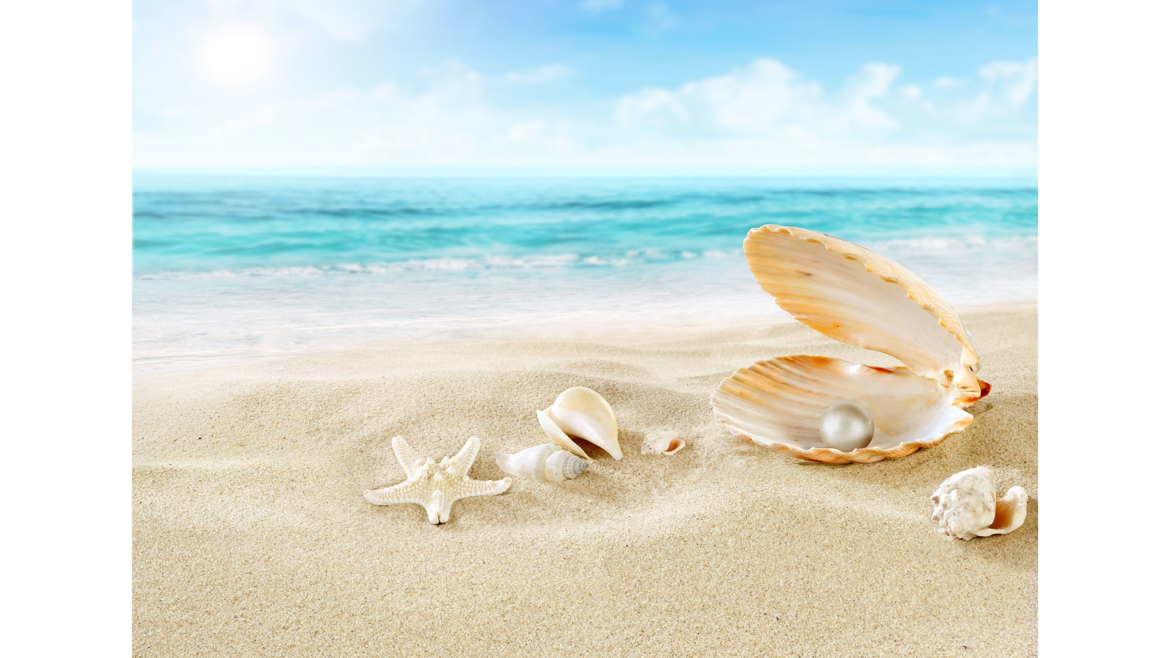 3840x2160, Seashell And Pearl Beach 4k Wallpaper 
 - Beach Seashell With Pearl - HD Wallpaper 