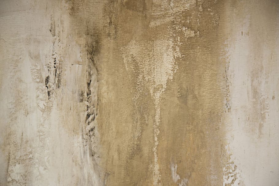 Untitled, Texture, Canvas, Artist, Paint, Design, Creative, - Paint Texture On Canvas - HD Wallpaper 