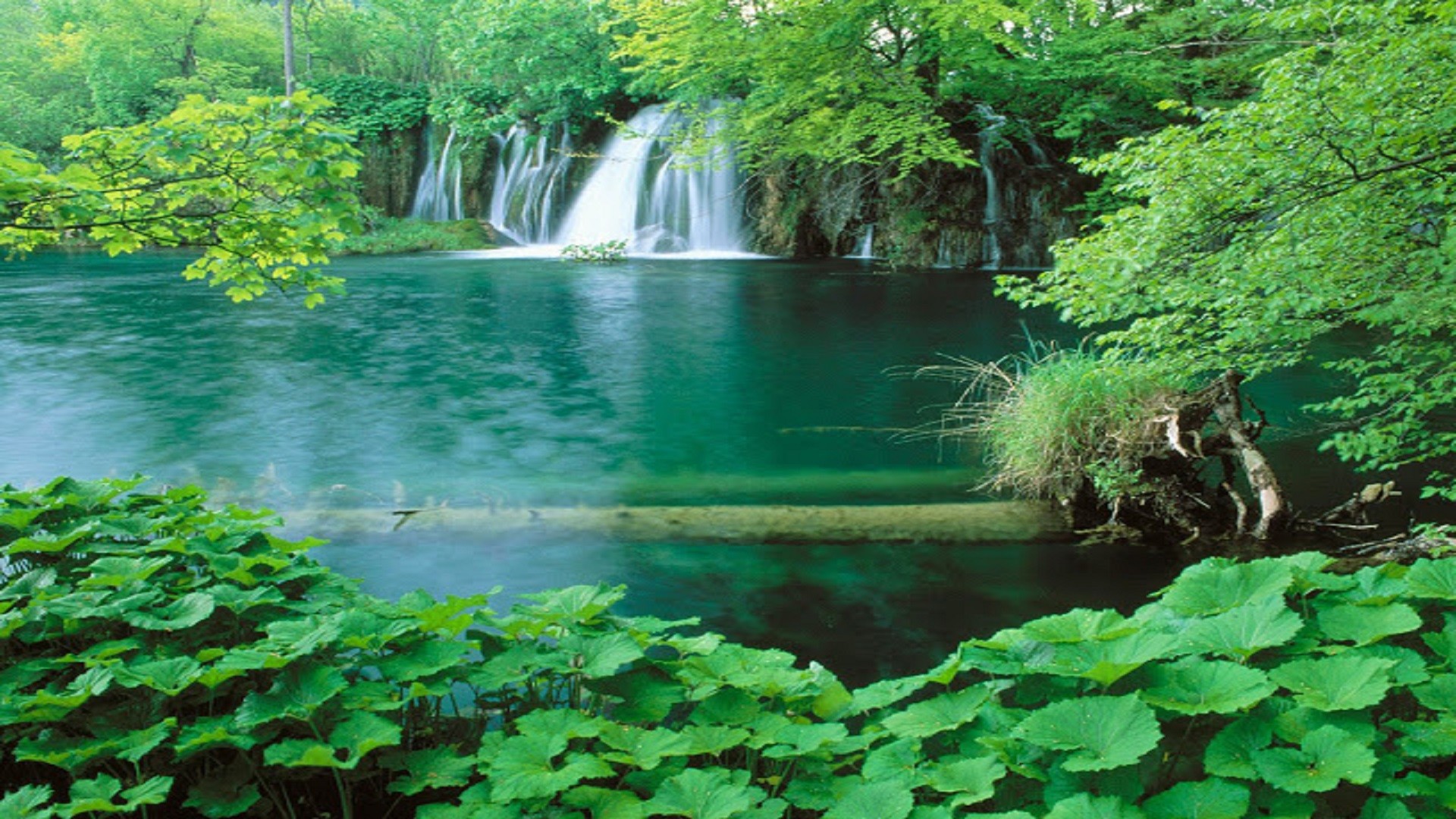 1920x1080, Top 10 Best Nature Scene Hd Wallpaper Free - Best Scenes Of Nature - 1920x1080 Wallpaper 1920x1080, Top 10 Best Nature Scene Hd Wallpaper Free - Best Scenes Of Nature - 1920x1080 Wallpaper