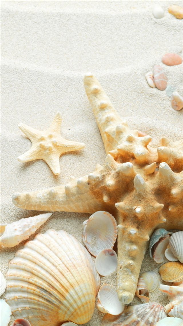 Pure Seaside Beach Starfish Seashell Iphone 8 Wallpaper - Sea Shells And Sand - HD Wallpaper 