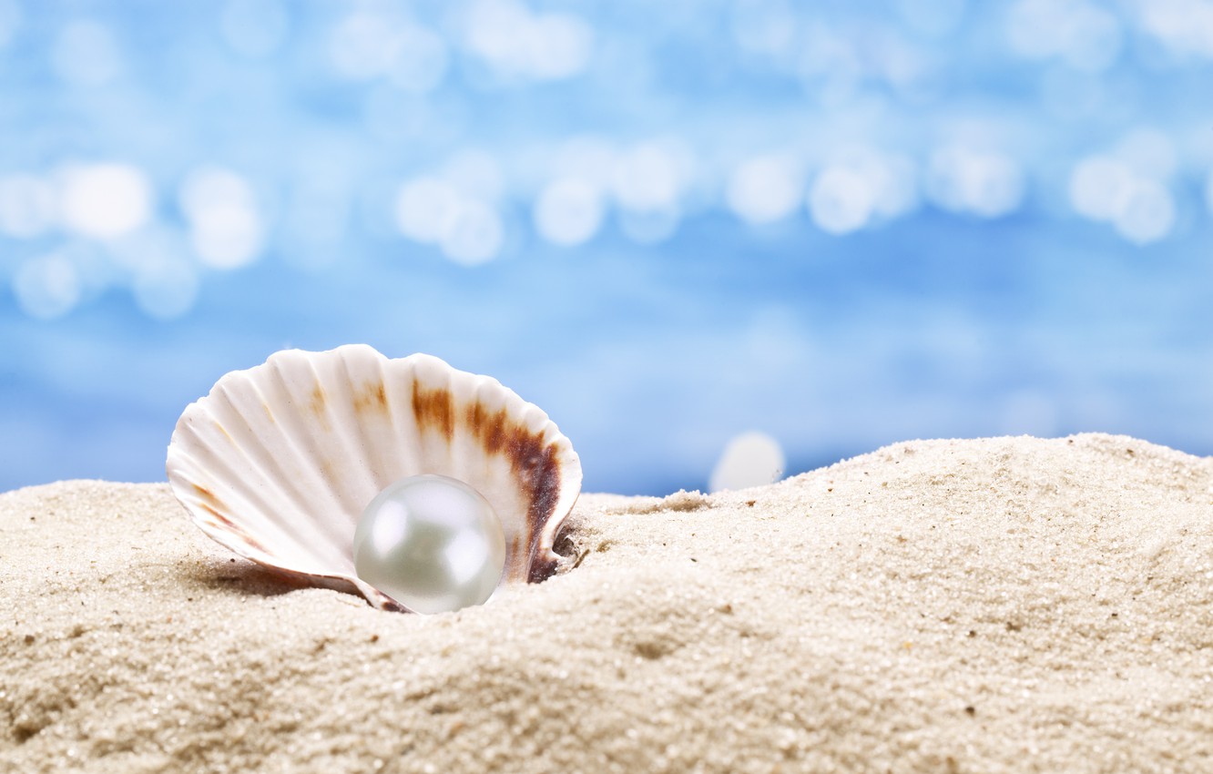 Photo Wallpaper Shell, Pearl, Sunshine, Beach, Sea, - South Sea Pearl Background - HD Wallpaper 