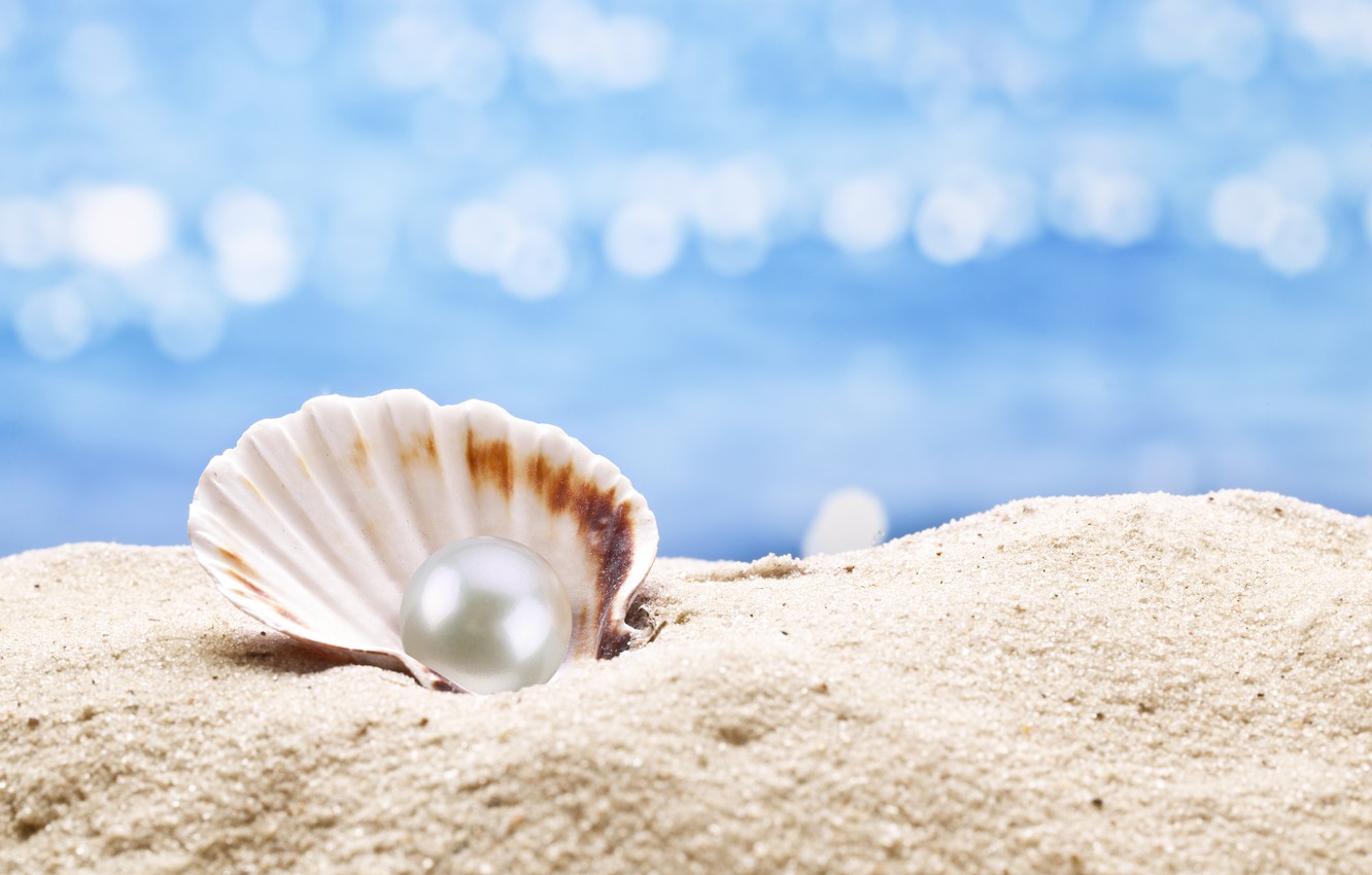 Photo Wallpaper Shell, Pearl, Sunshine, Beach, Sea, - South Sea Pearl