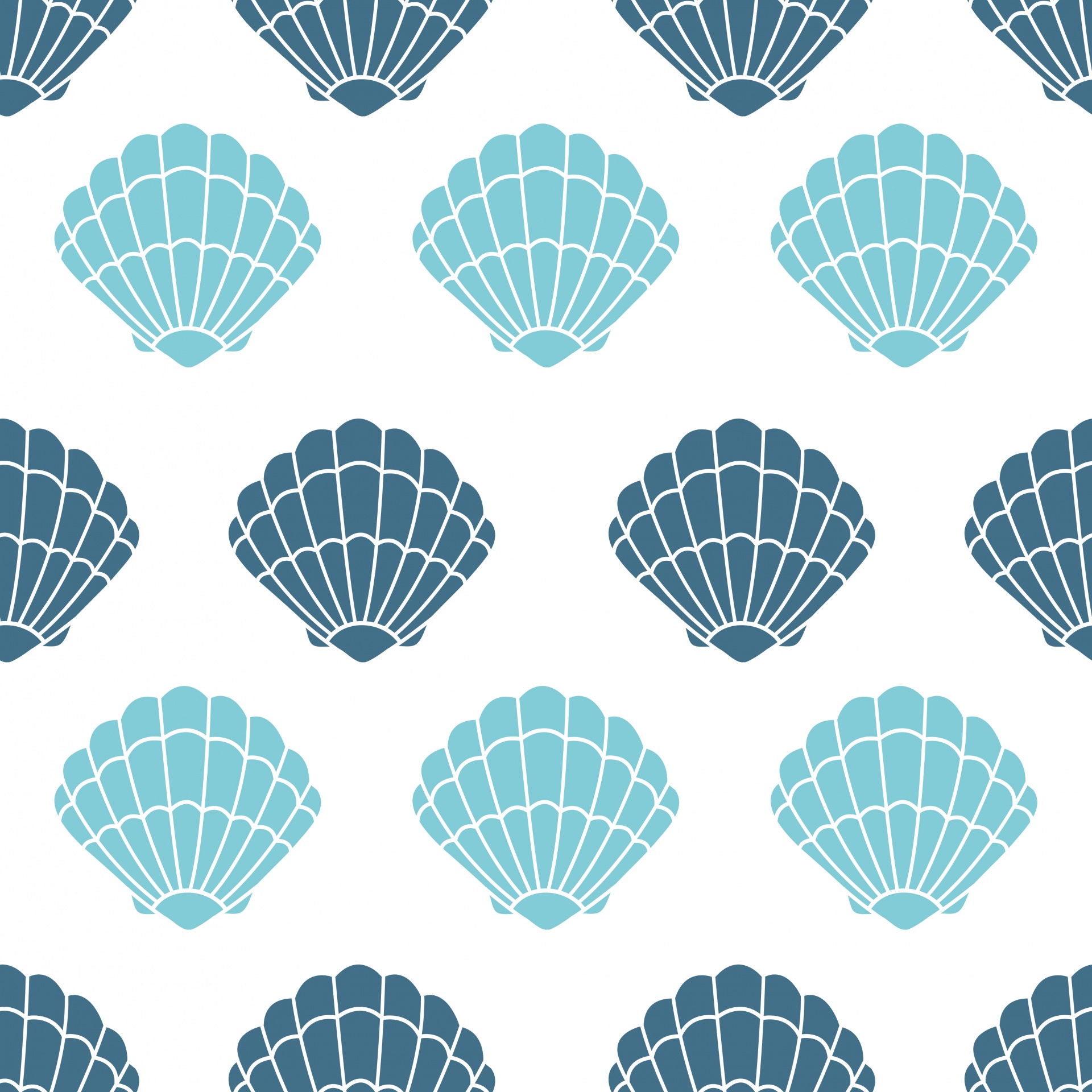 Shells Sea shells Seashells Free Photo - Blue Shells Background