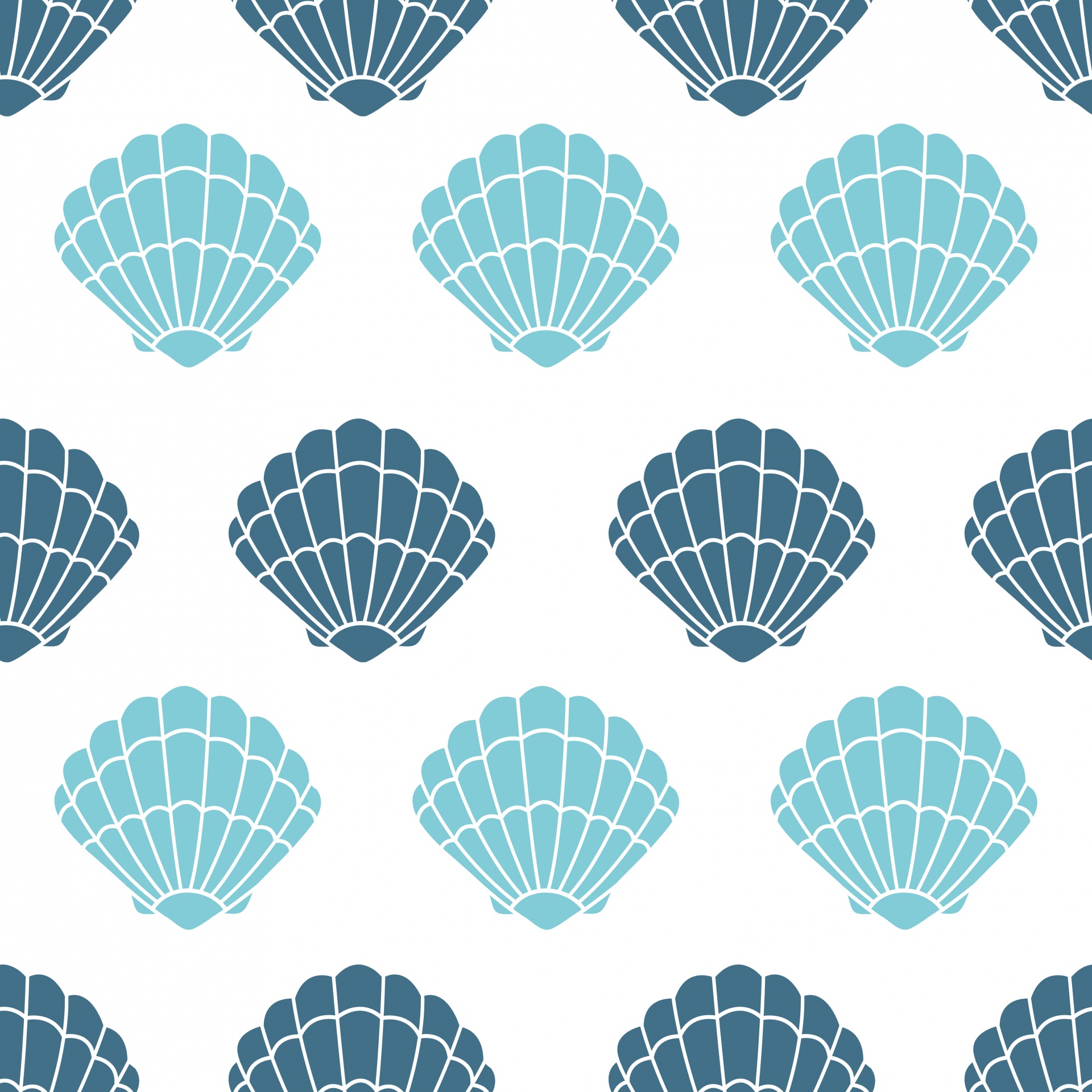 Shells Sea shells Seashells Free Photo - Blue Shells Background - HD Wallpaper 