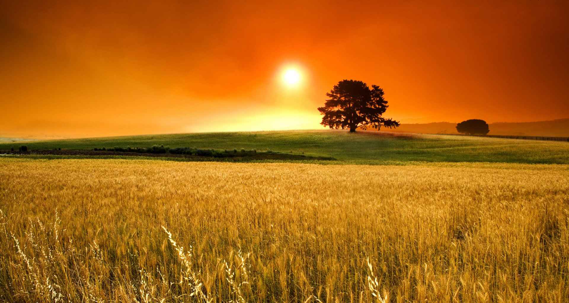 Farming Backgrounds - Background Pictures Of Farms - 1920x1022 Wallpaper -  