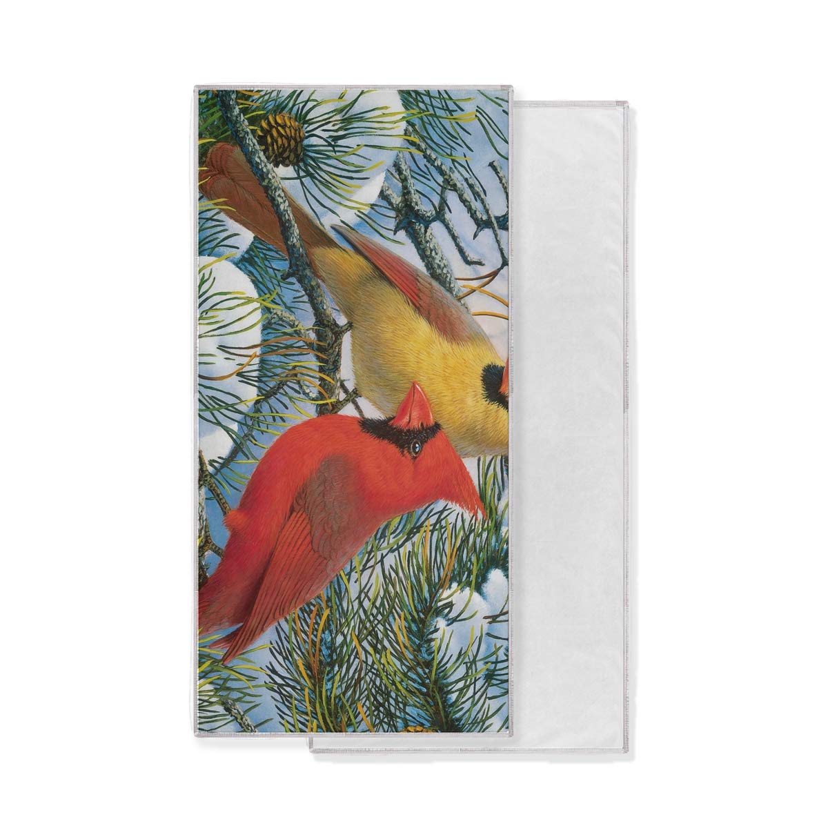 Cardinal - HD Wallpaper 