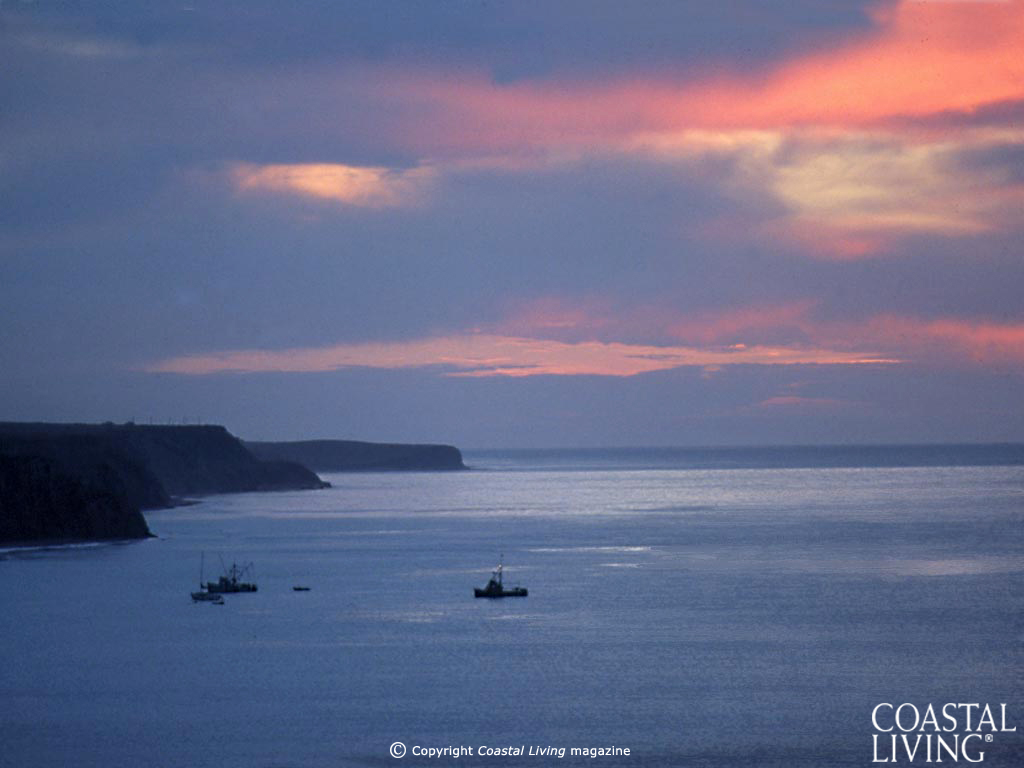 Screen Backgrounds Free - HD Wallpaper 