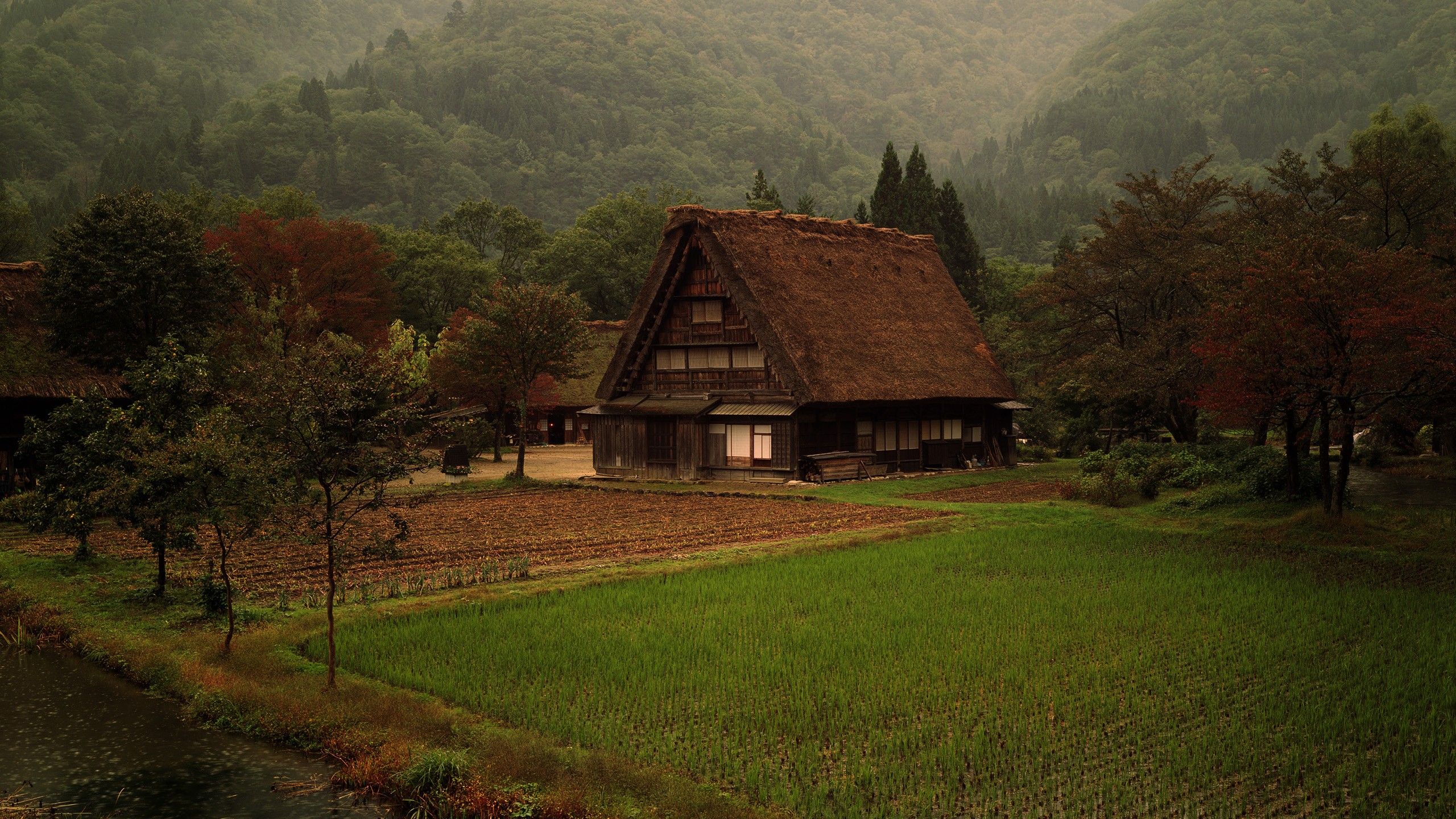 Japan, Mountains, Grass, Fields, Japanese, Farm - Cabin In The Forest - HD Wallpaper 