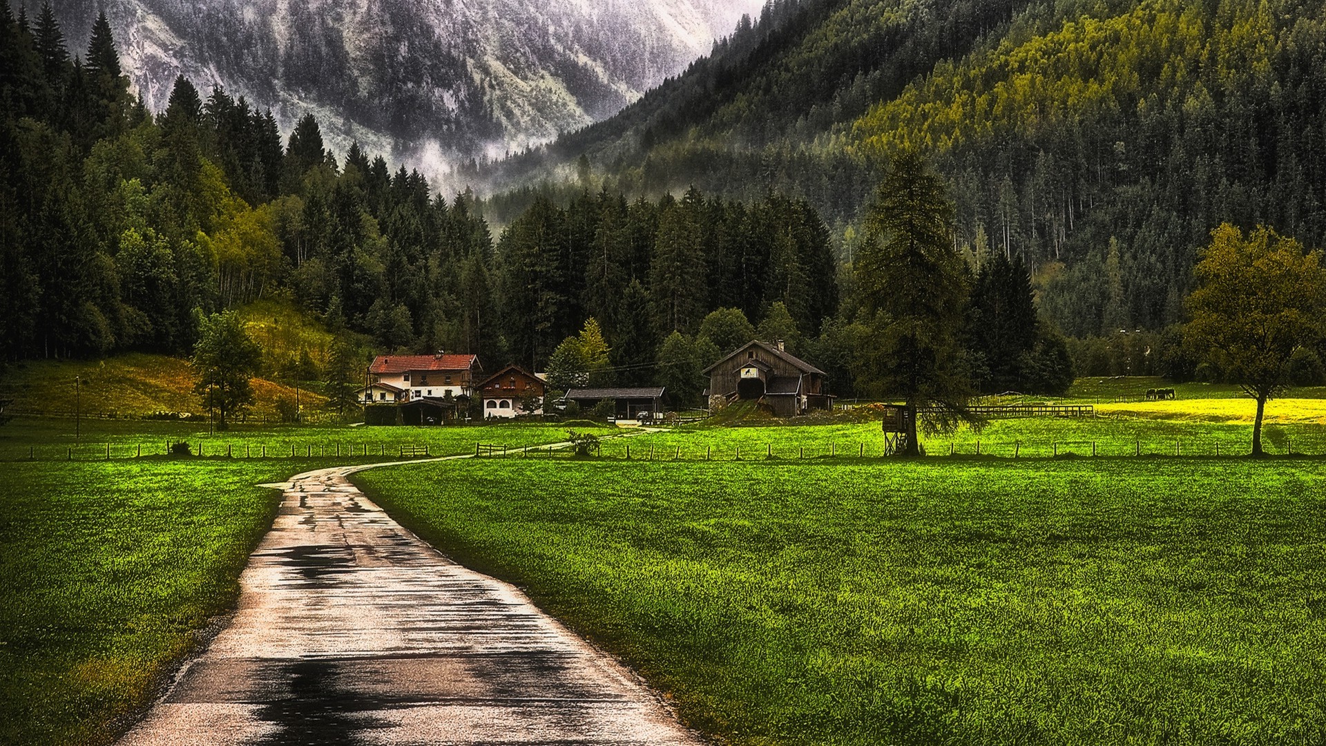 Grass Farm - HD Wallpaper 