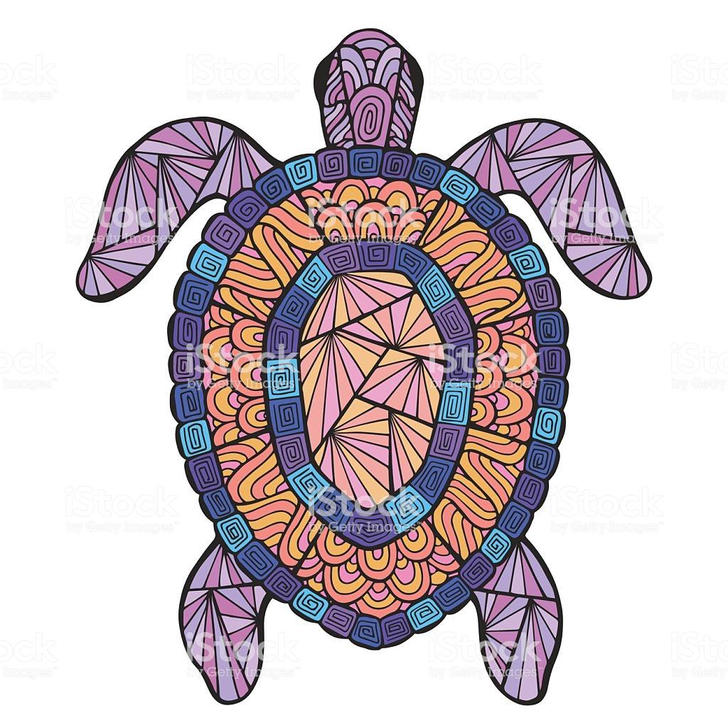 Cartoon Turtle Wallpaper - Turtle - HD Wallpaper 