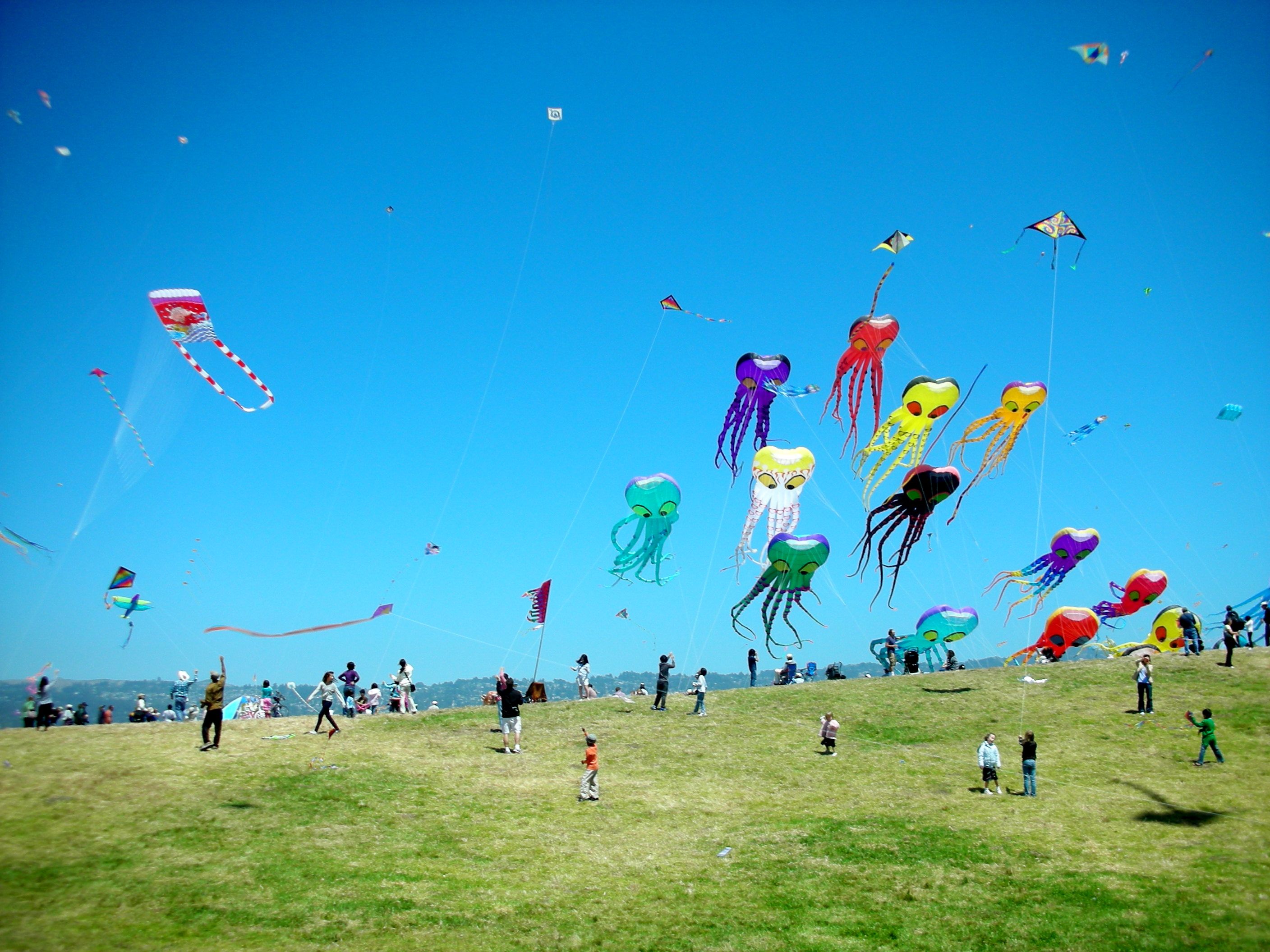 Kite Flying Wallpaper With Hd Quality - Kite Festival In Rajasthan - HD Wallpaper 