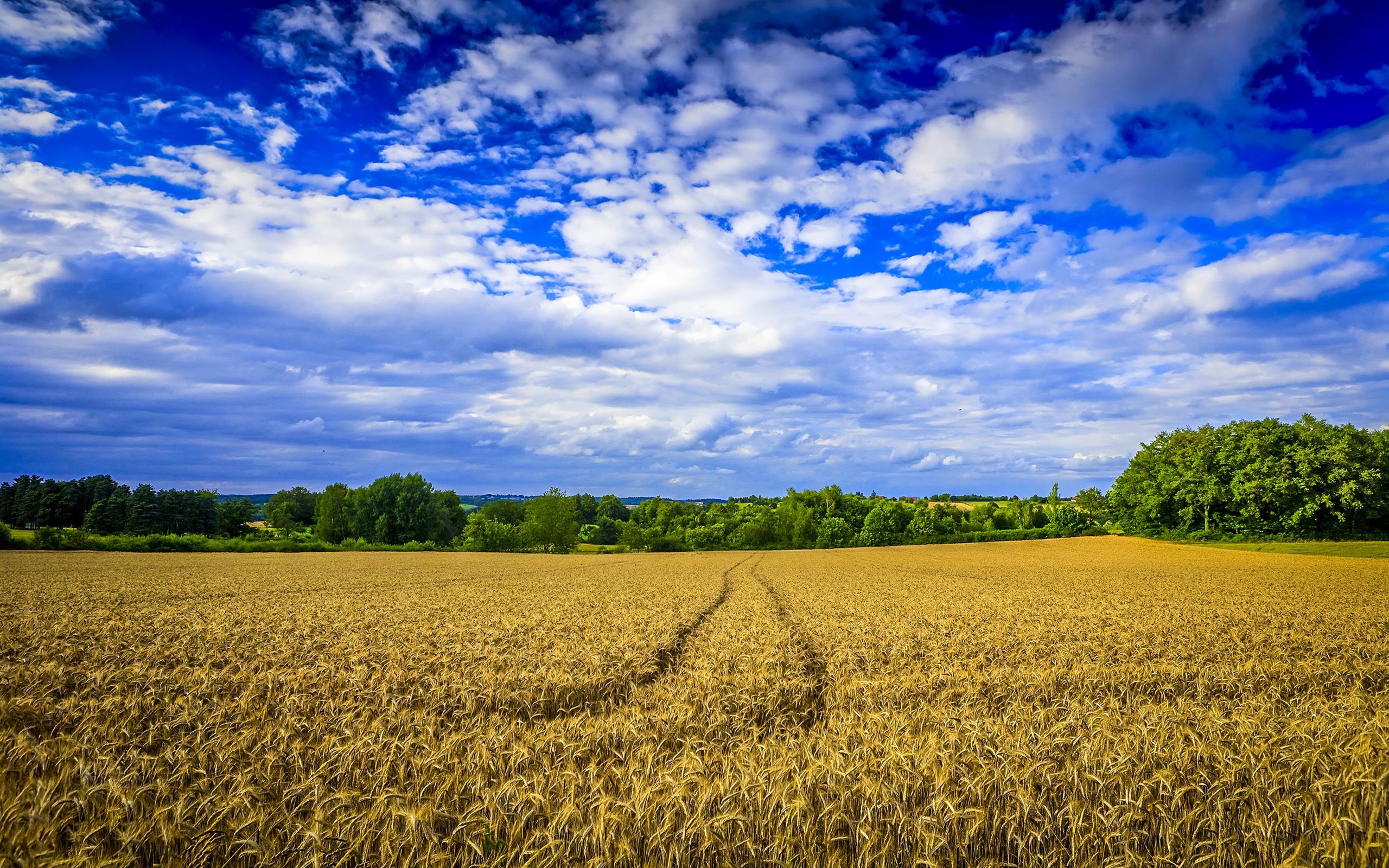 2560x1600, Download Farm Wallpaper 2519 Px High Resolution - High