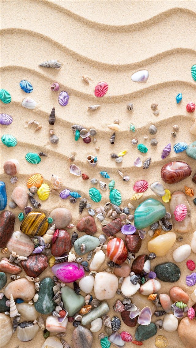 Colorful Seashell On Sand Iphone 8 Wallpaper - Seashell Wallpaper Iphone - HD Wallpaper 